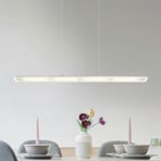 LED-hengelampe Novak, klar/nikkel, 88 cm, CCT, dimbar