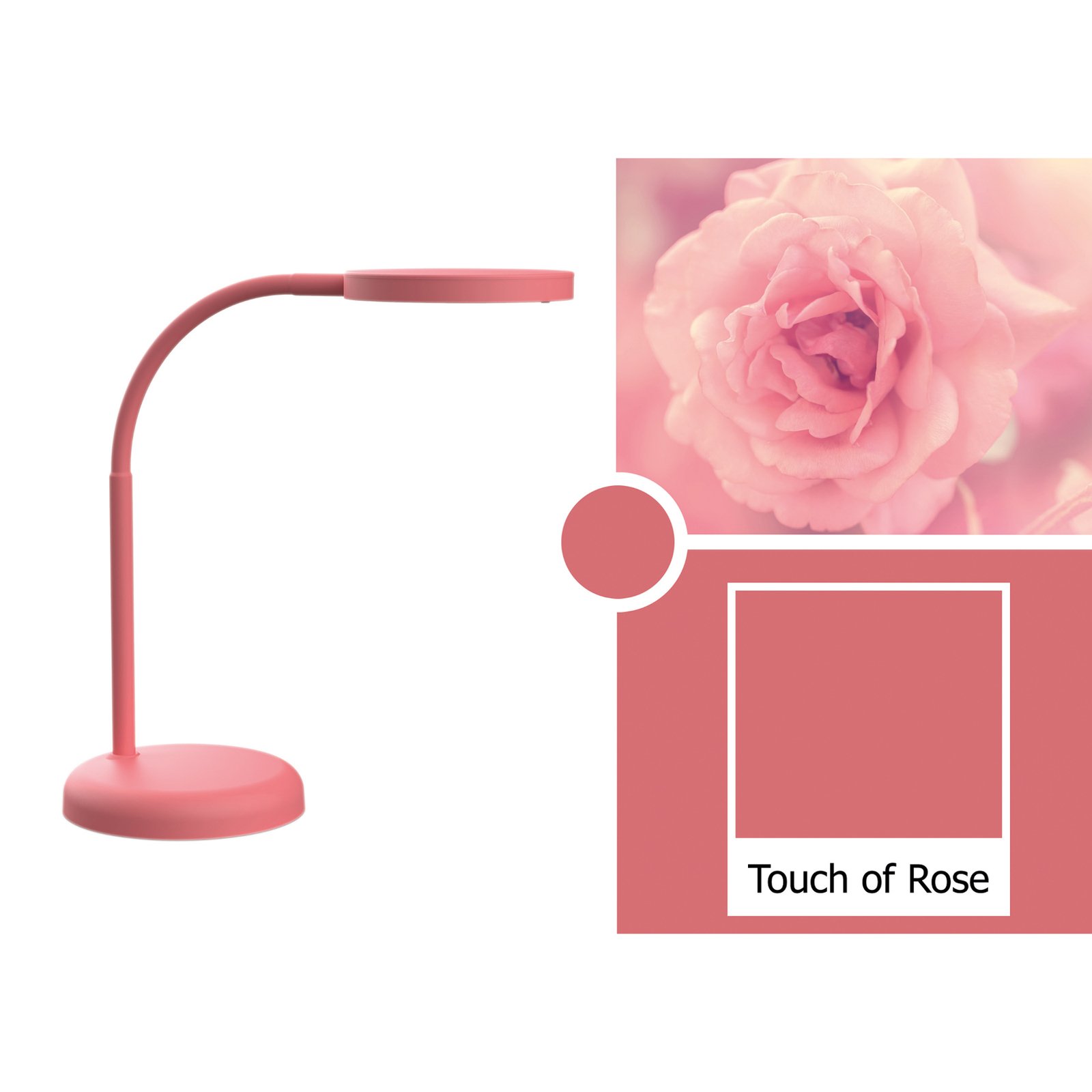 MAULjoy Lampă de masă cu LED, roz