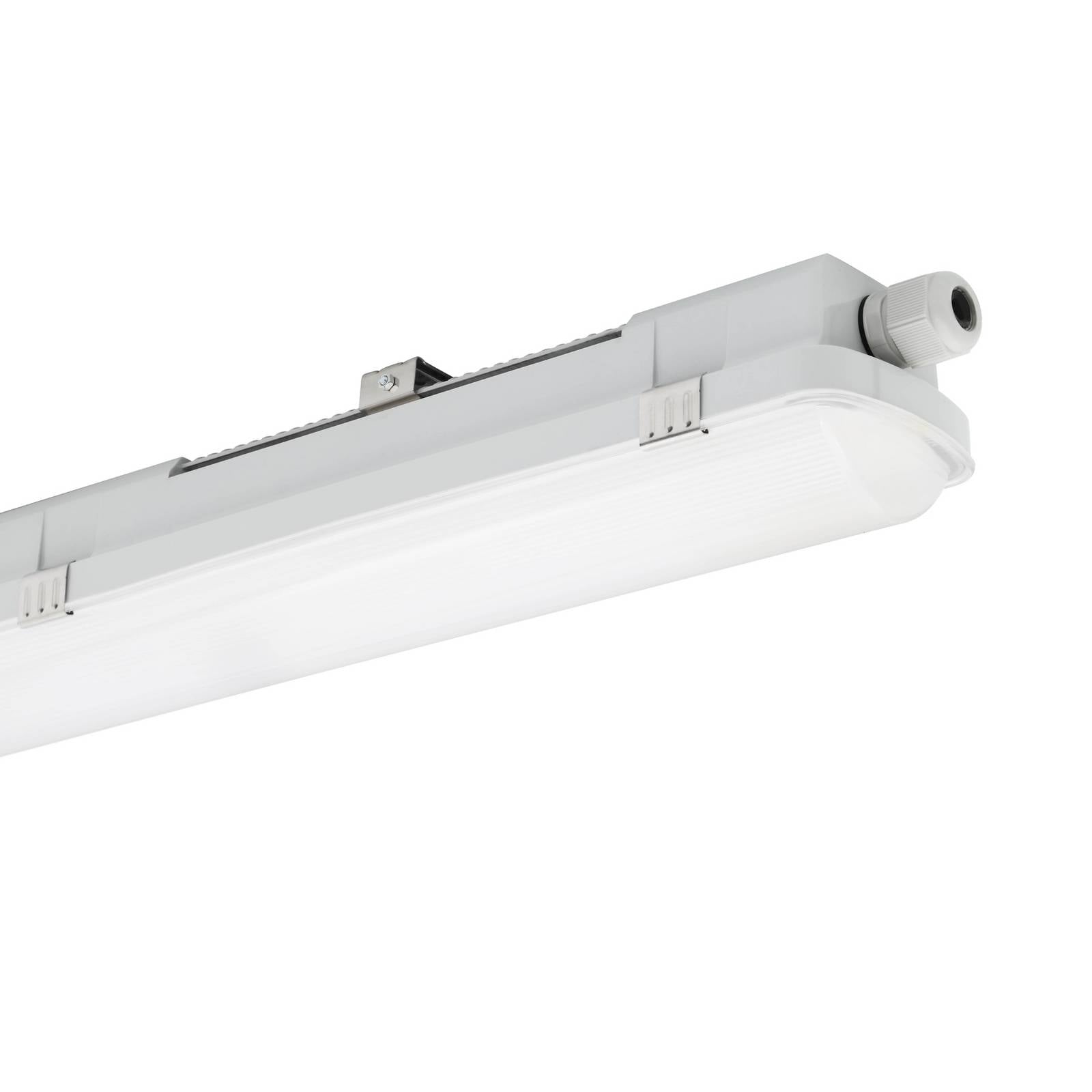 LED-armatur RESISTO, lysegrå, 150 cm, 56 W, 840 IP66