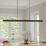 UMAGE Candeeiro suspenso LED Hazel Branch, preto/latão, 150 cm