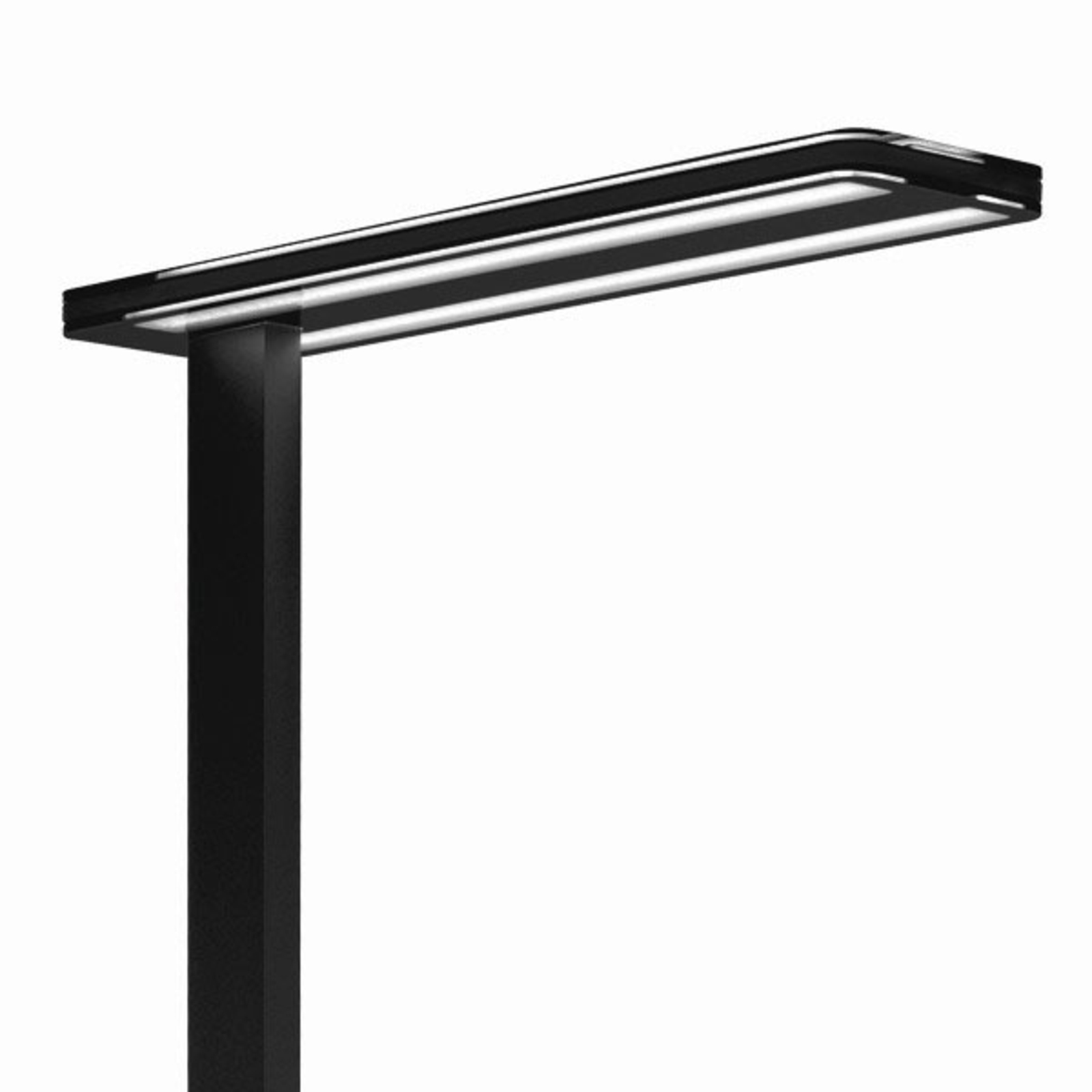 Lampadaire LED Trentino II, dimmable, noir
