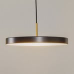 UMAGE Asteria medium hanging light anthracite