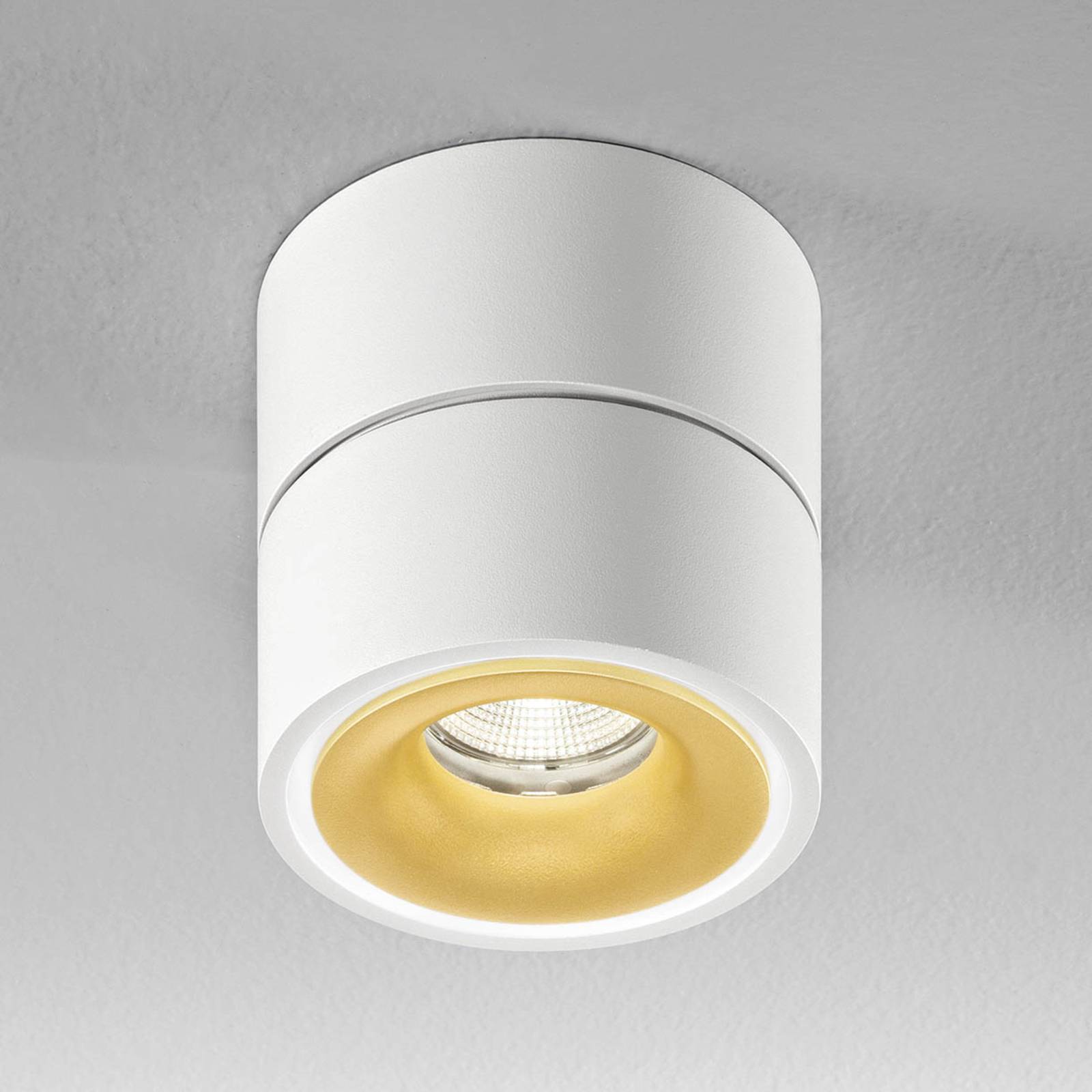 E-shop Egger Clippo S stropné LED svietidlo, bielo-zlatá