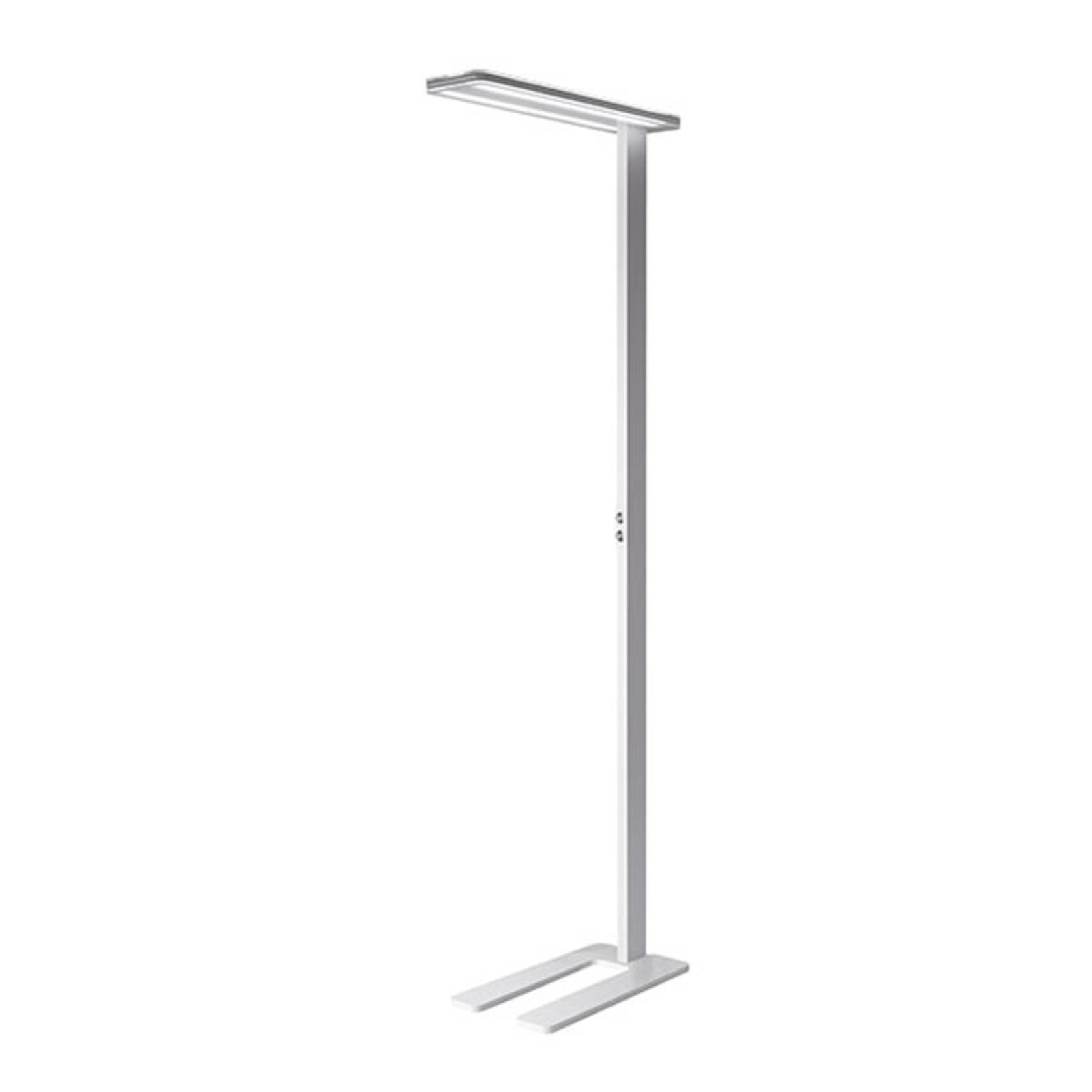 Lampadaire LED Trentino II, dimmable, blanc