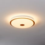 Plafonieră cu LED Lanciano 1 cu telecomandă Ø38cm