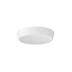 Ribag canopy for pendant lights