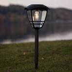 Felix LED solar light