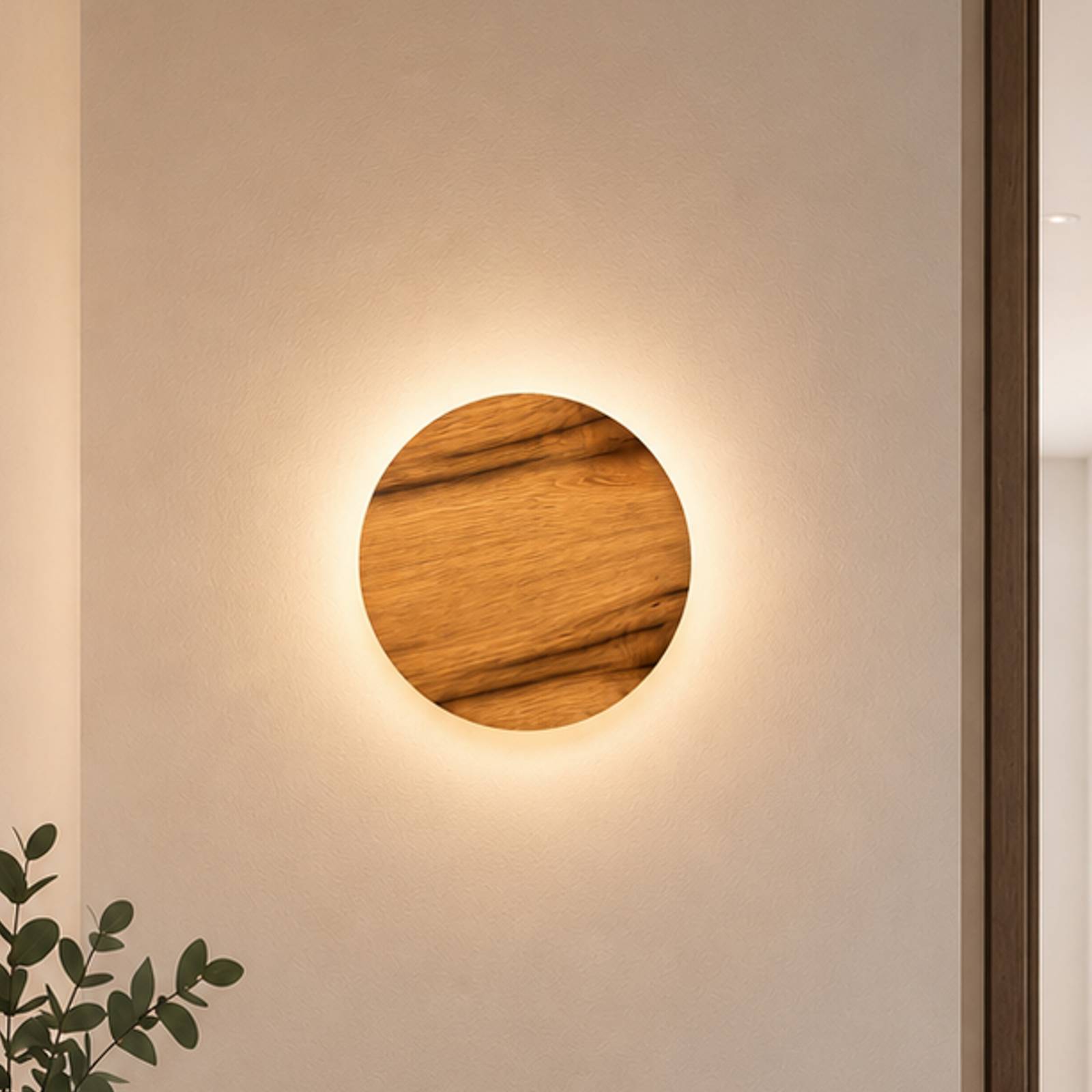 Kinkiet LED Havana M, dąb sękaty/metal, Ø 34 cm, IP44