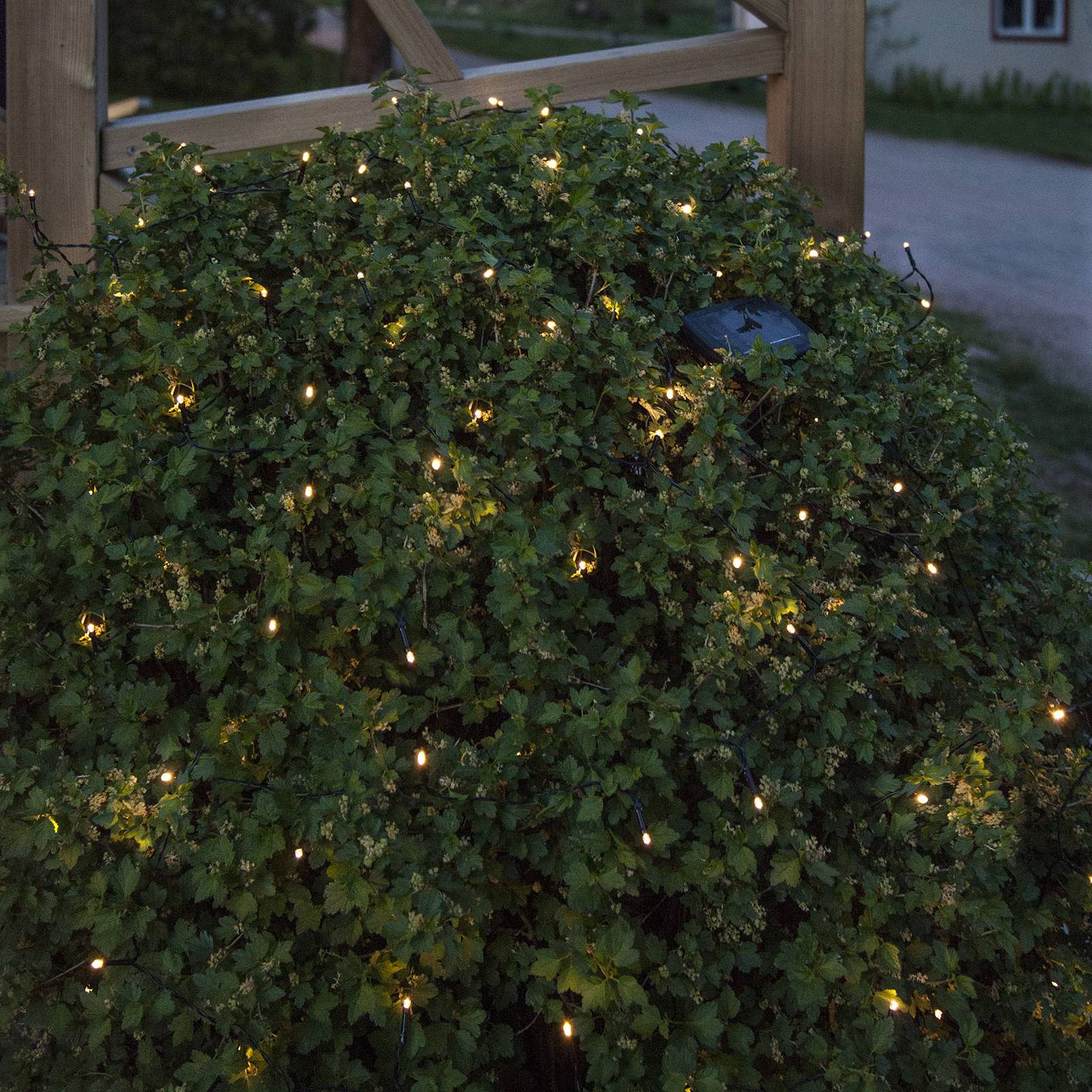 Compra Cadena de luces LED solar base, 10 m de largo | Lampara.es