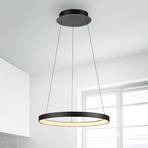 Paul Neuhaus LED κρεμαστό φωτιστικό Hoop, μαύρο, Ø 57 cm. Σίδηρος