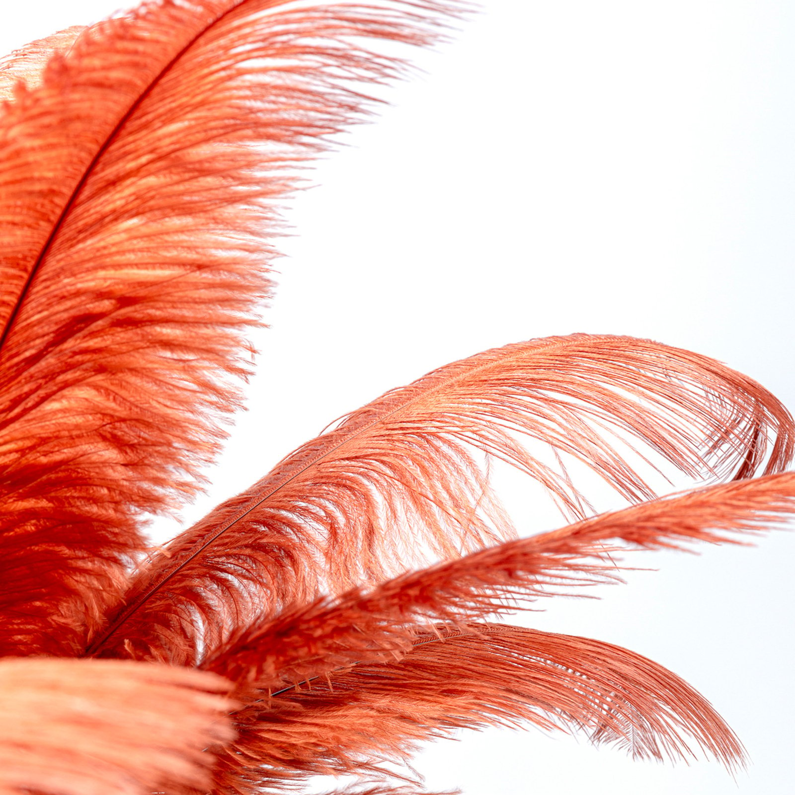 KARE Feather Palm bordslampa med fjädrar, roströd