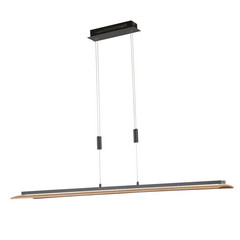 LED rippvalgusti Shine-Wood, tamme/must, 125 cm, CCT