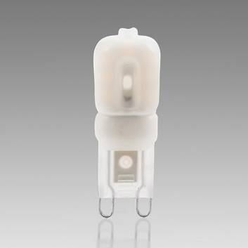 G9 2.5 W 830 bi-pin LED bulb, opal