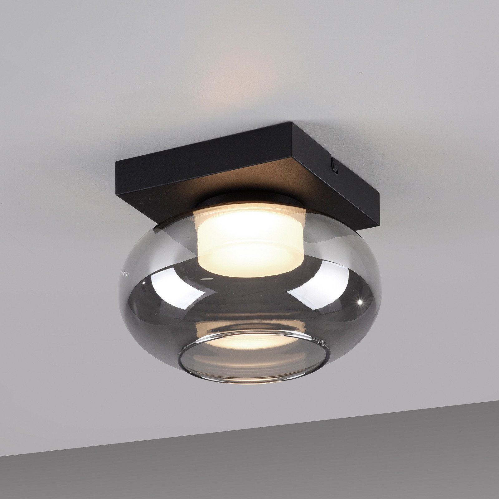 SCHÖNER WOHNEN plafonieră LED Sia gri fumuriu 3.000 K - Camera de zi / sufragerie - Modern - cenușiu-fumuriu negru - Sticlă