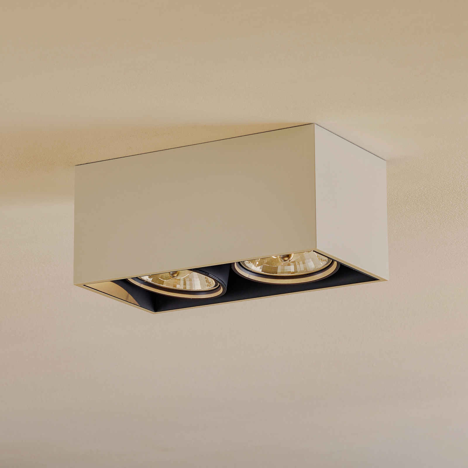 2-punktowa lampa sufitowa Compass Box biała