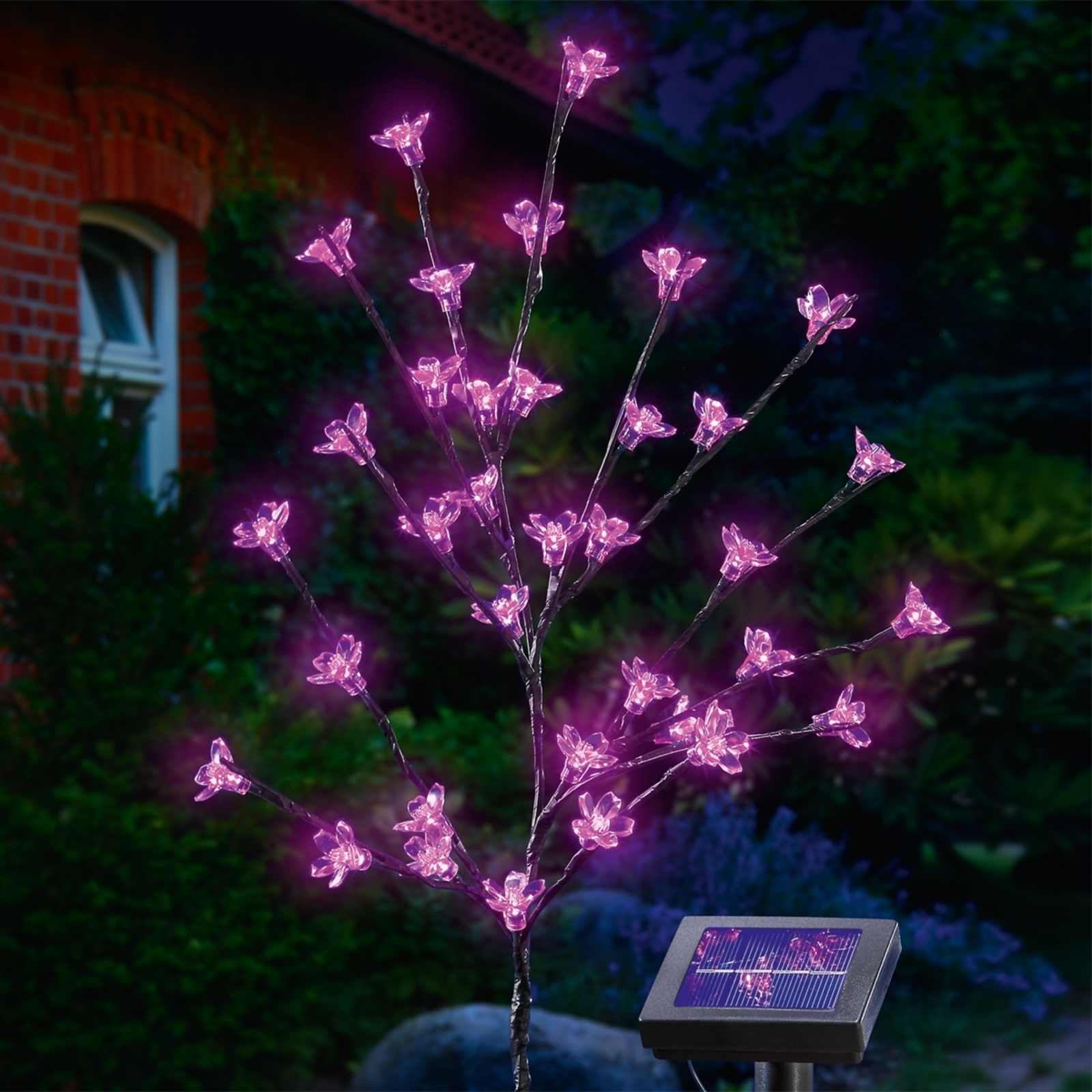 Esotec Solar LED flower shrub, Plastic, energy efficiency: A+, H: 60 cm