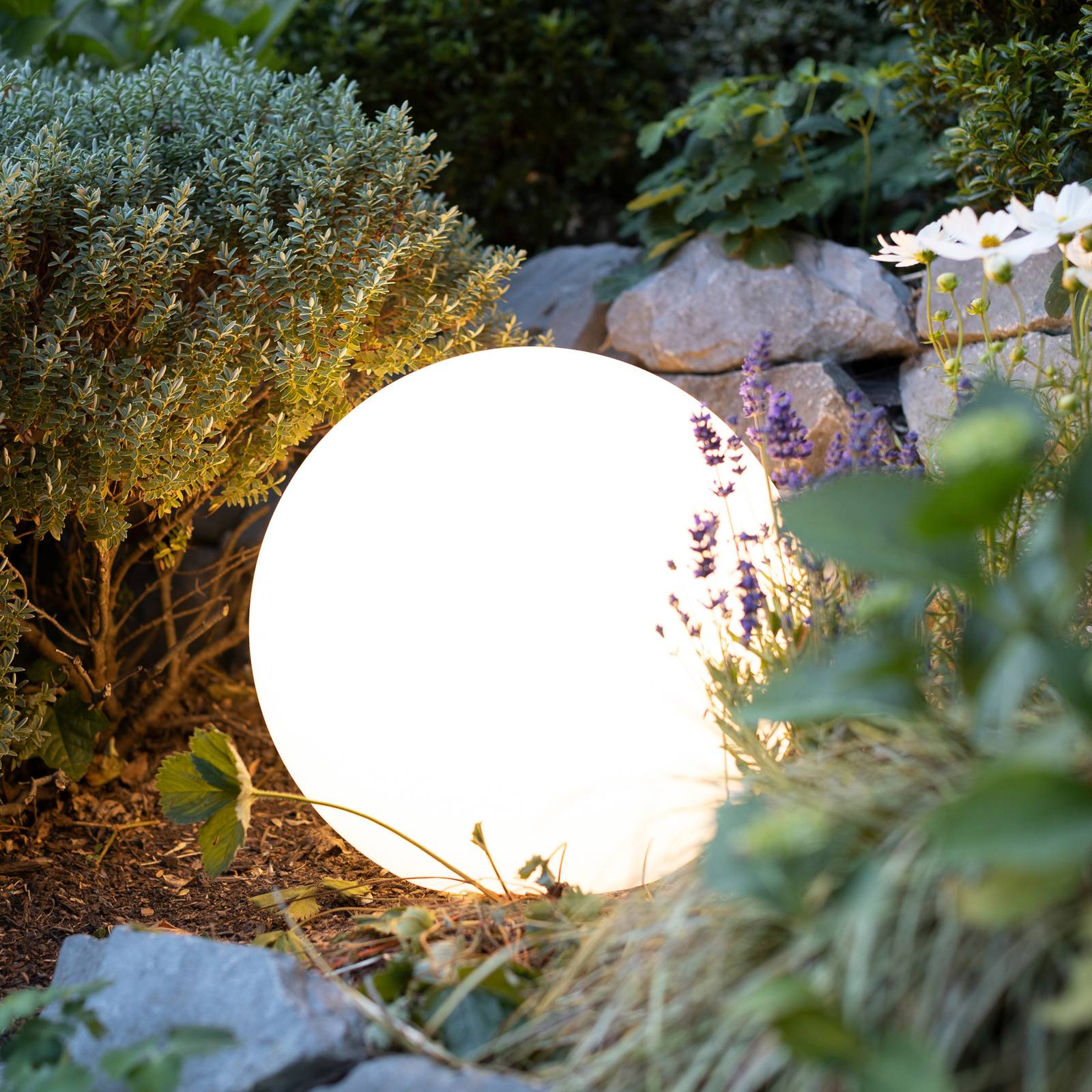 Müller Licht tint Calluna LED-Boule blanche 50 cm