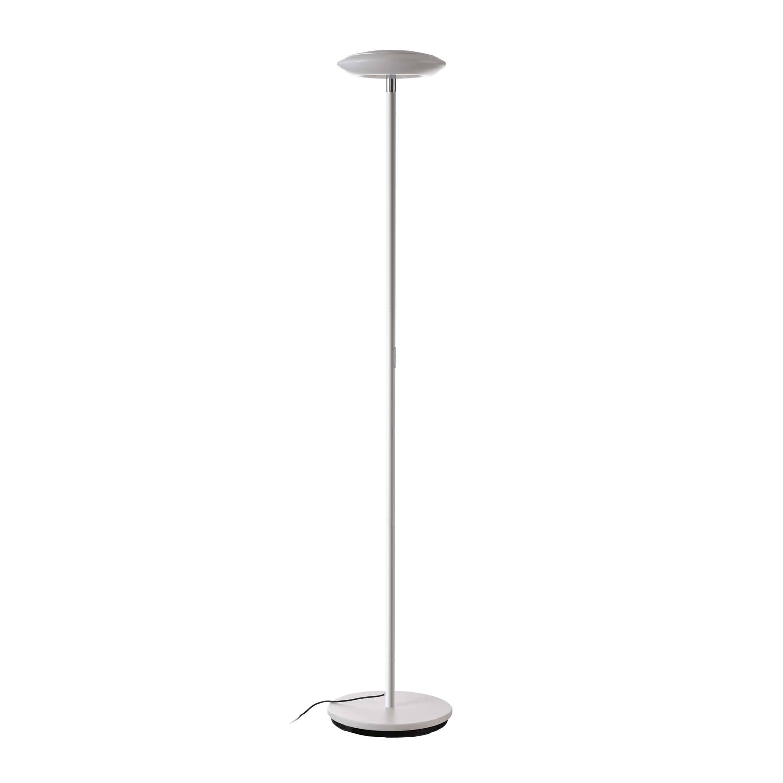 Lampadaire LED Bermuda tête inclinable blanc