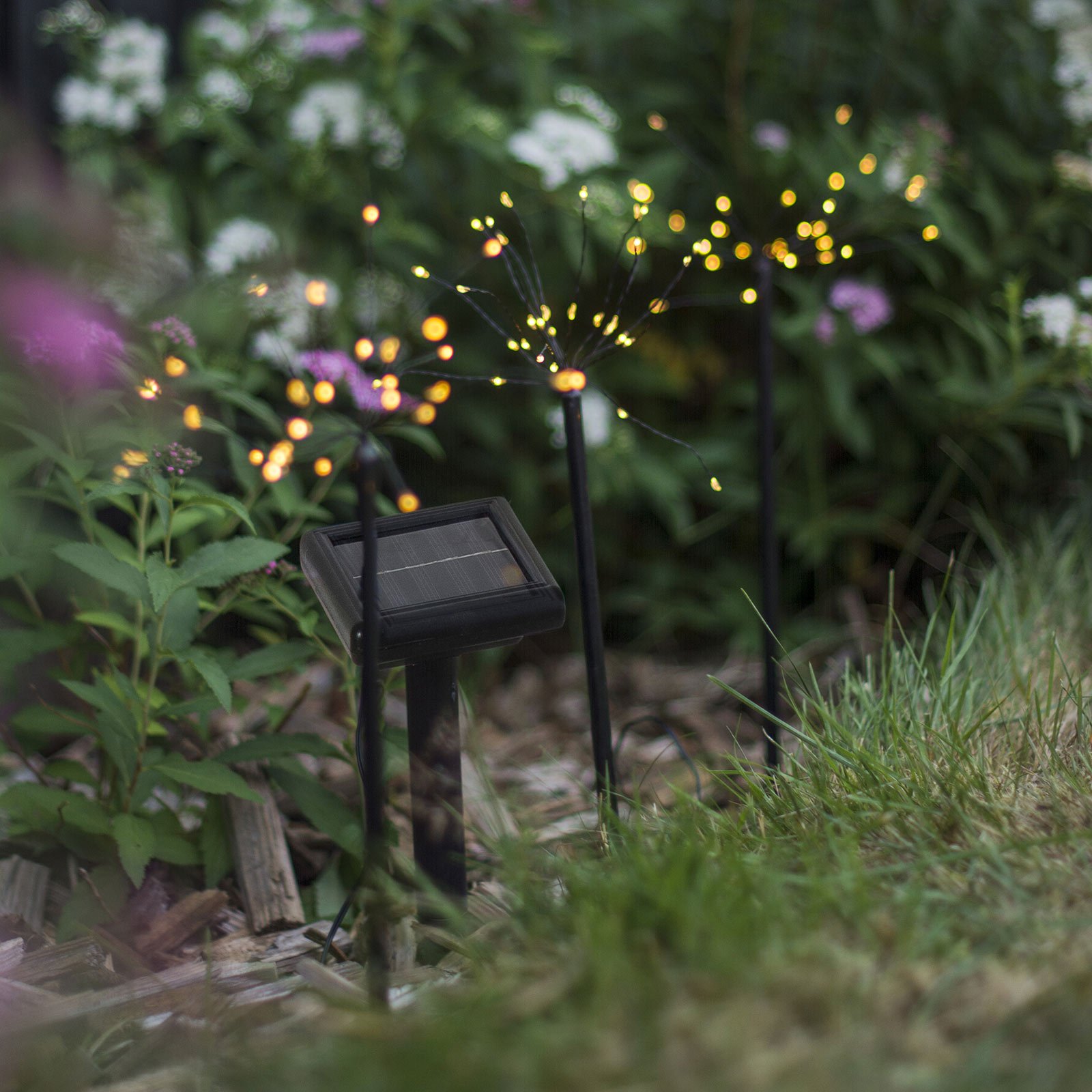 LED lamp zonneenergie Firework set aardspiesen Lampen24.be