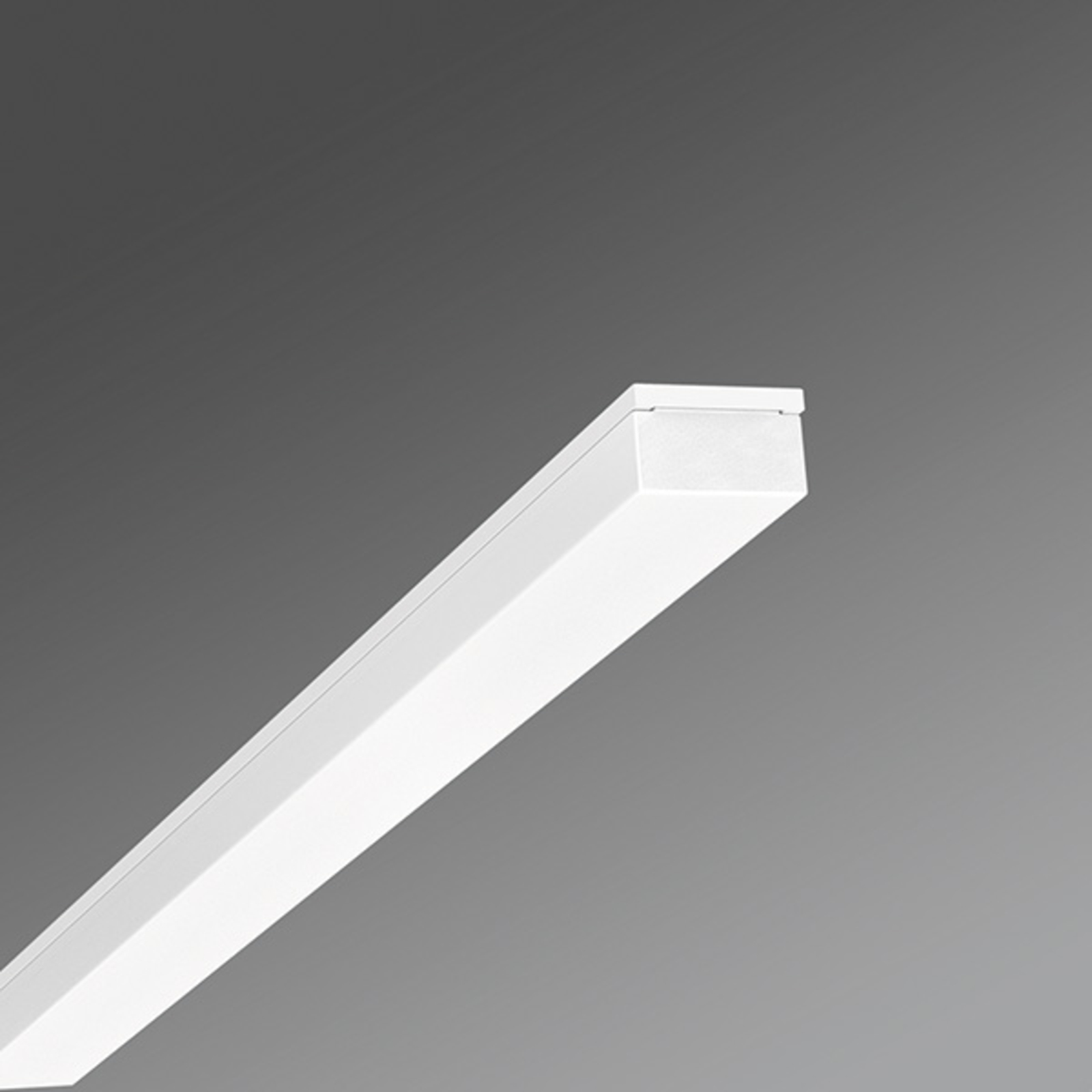 Regiolux Wotek-WKO/1500 LED ceiling lamp, cool white, for Hallway, steel, plastic, 36 W, energy efficiency: A+, L: 151 cm, W: 12 cm, H: 9 cm