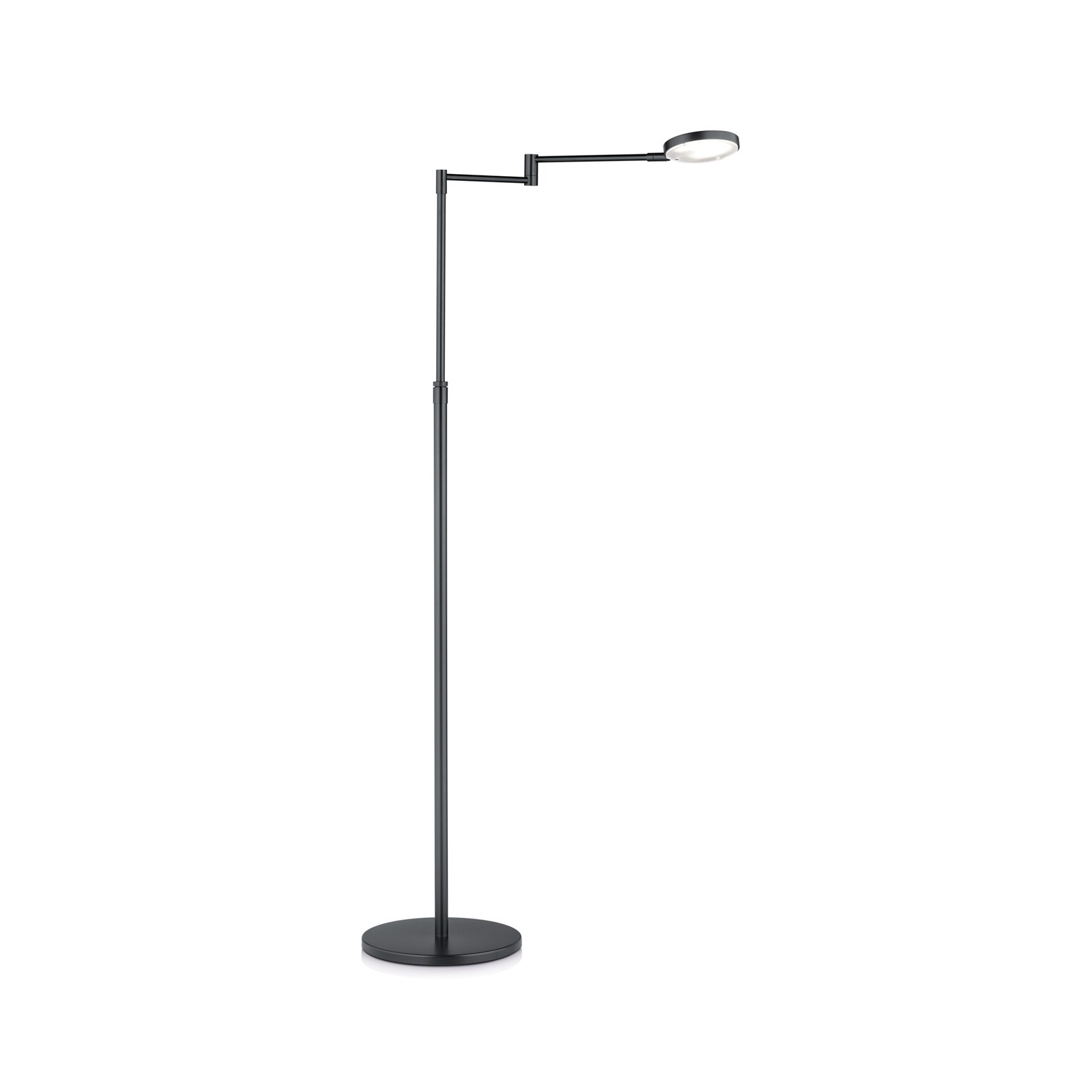 Caro LED floor lamp, 1-bulb, adjustable