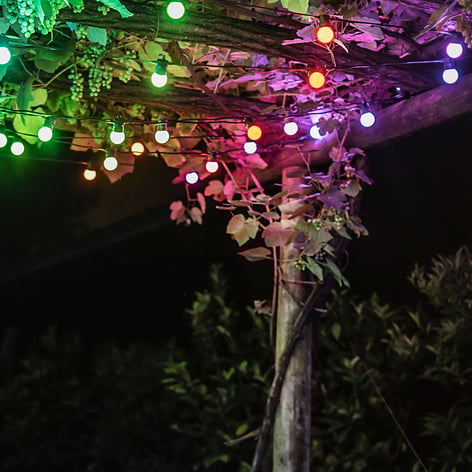 Catena luminosa LED Twinkly Festoon Starter Kit