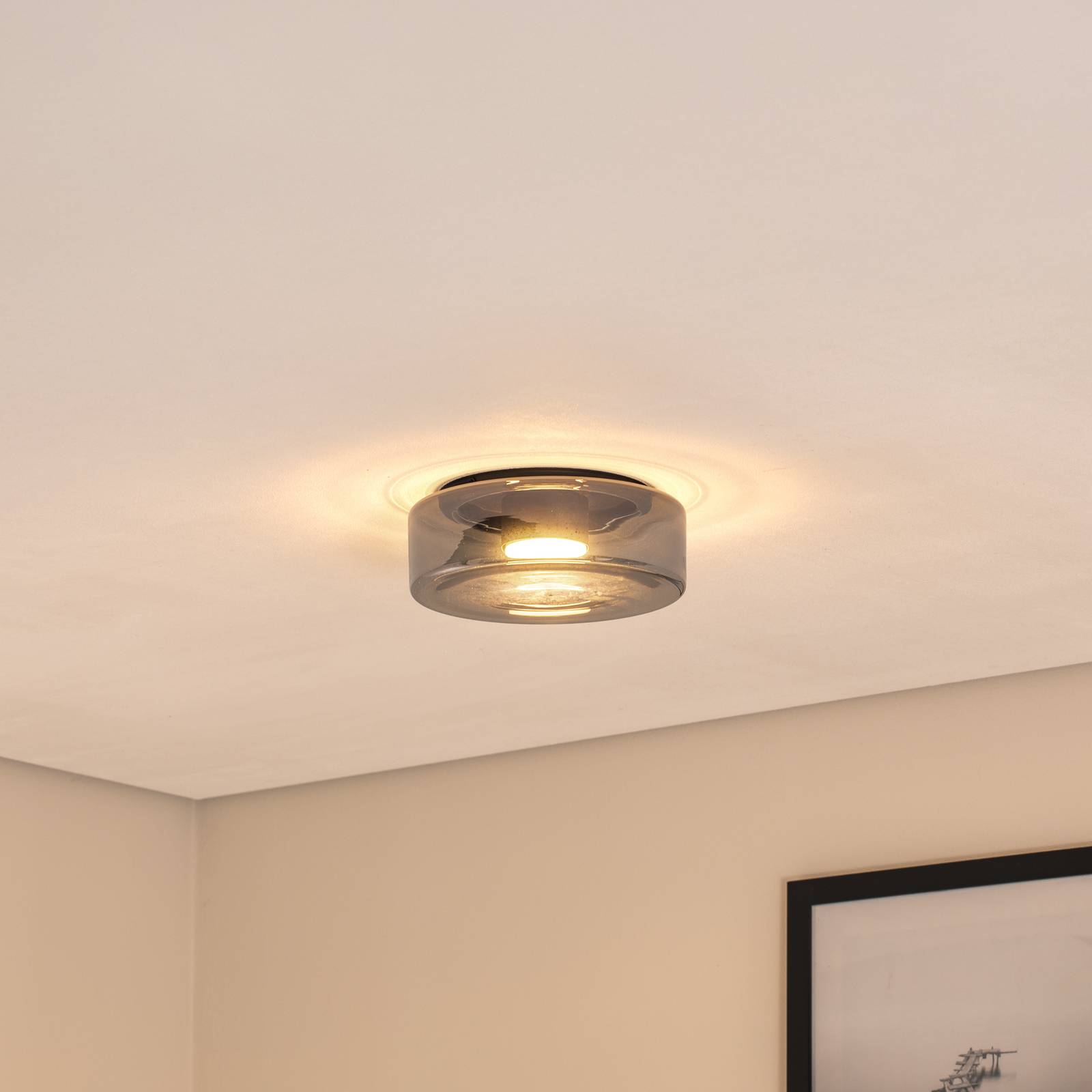 Deckenleuchte Titania, rauchgrau/schwarz, Glas, Ø 25 cm günstig online kaufen