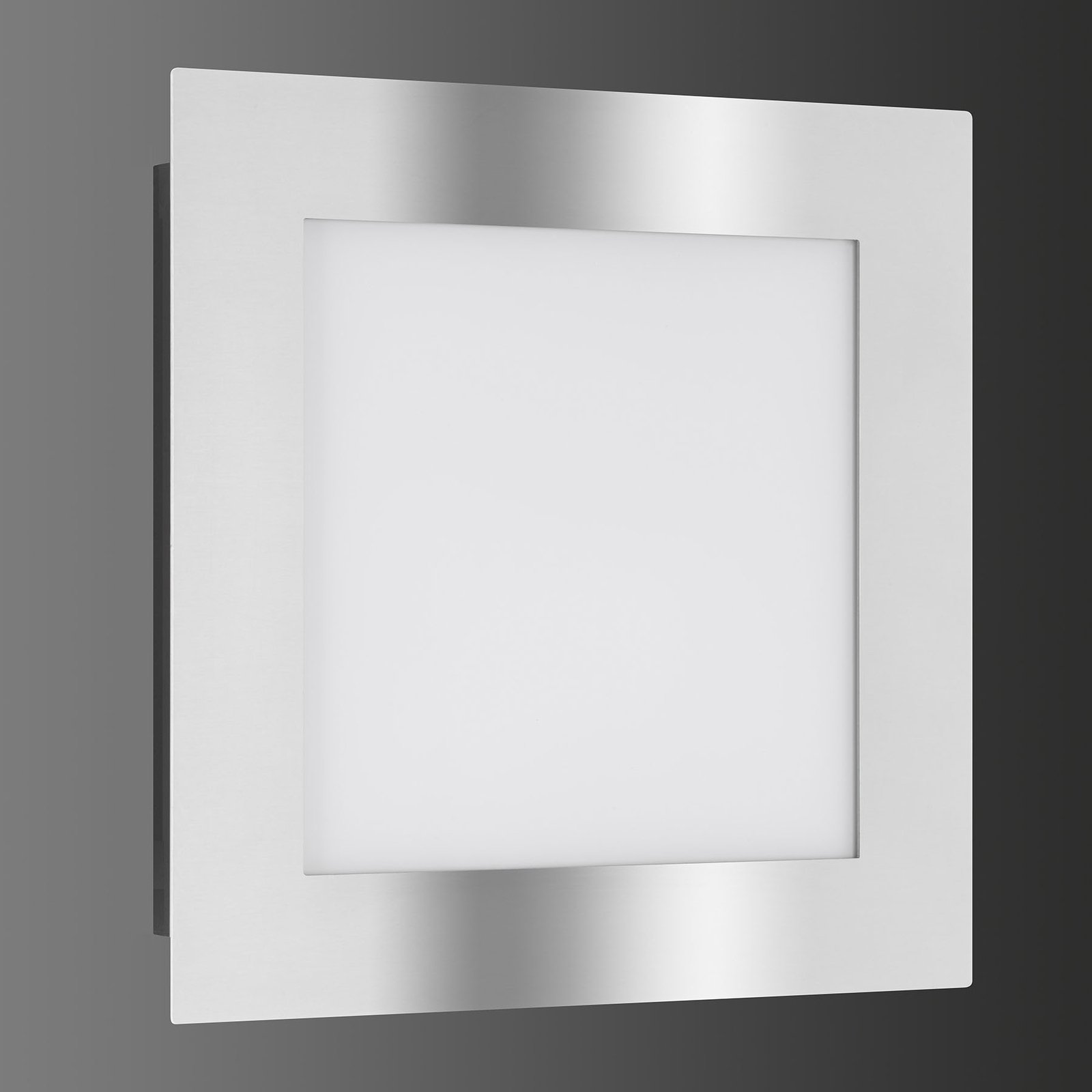 3006 LED outdoor wall light, stainless steel