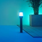 Conjunto inicial WiZ Elpas LED pathway light preto RGBW