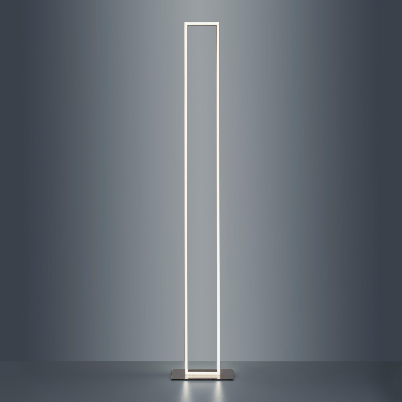 Paul Neuhaus QKAAN LED floor lamp remote control Lights.co.uk