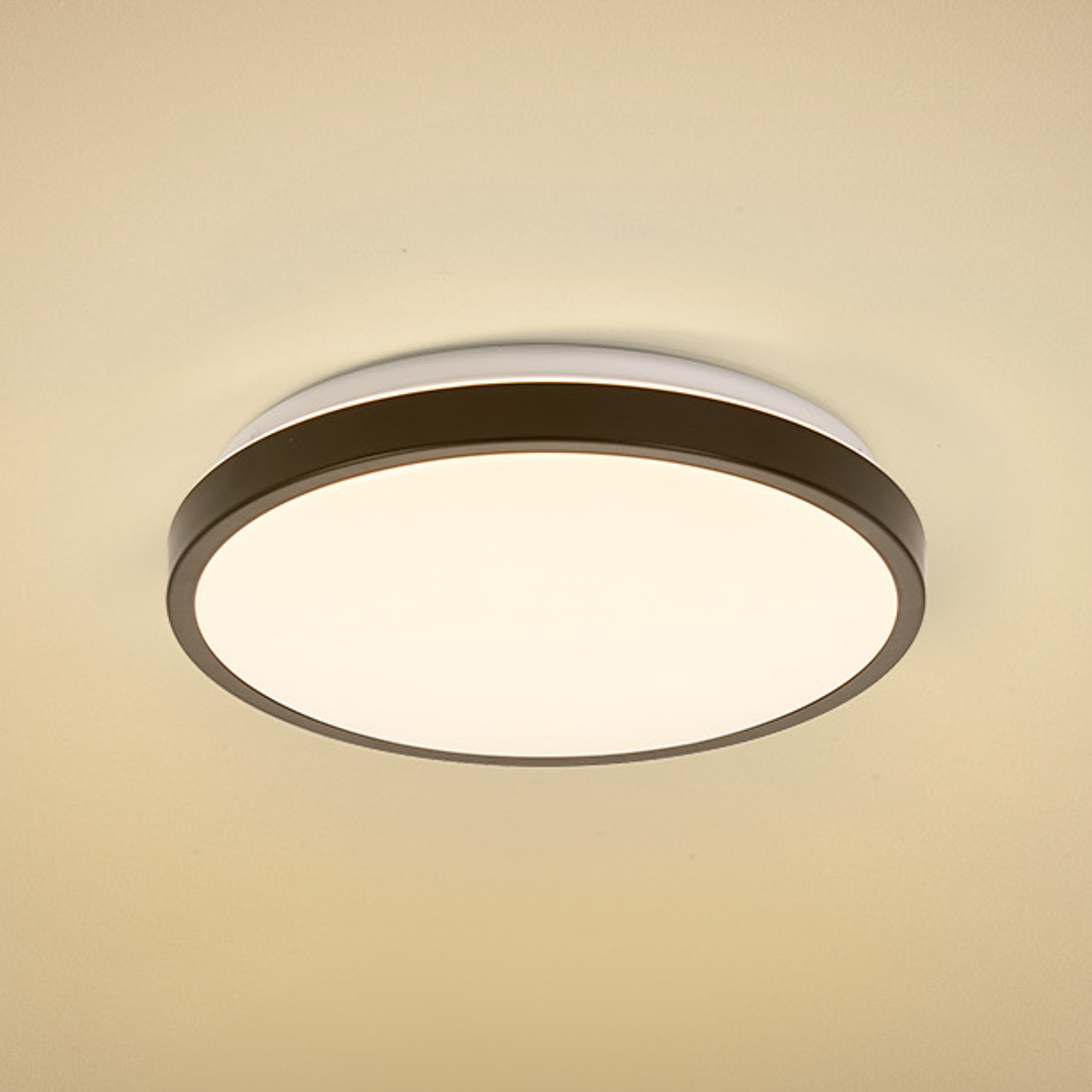 LEDVANCE Bathroom Ceiling LED ceiling lamp black