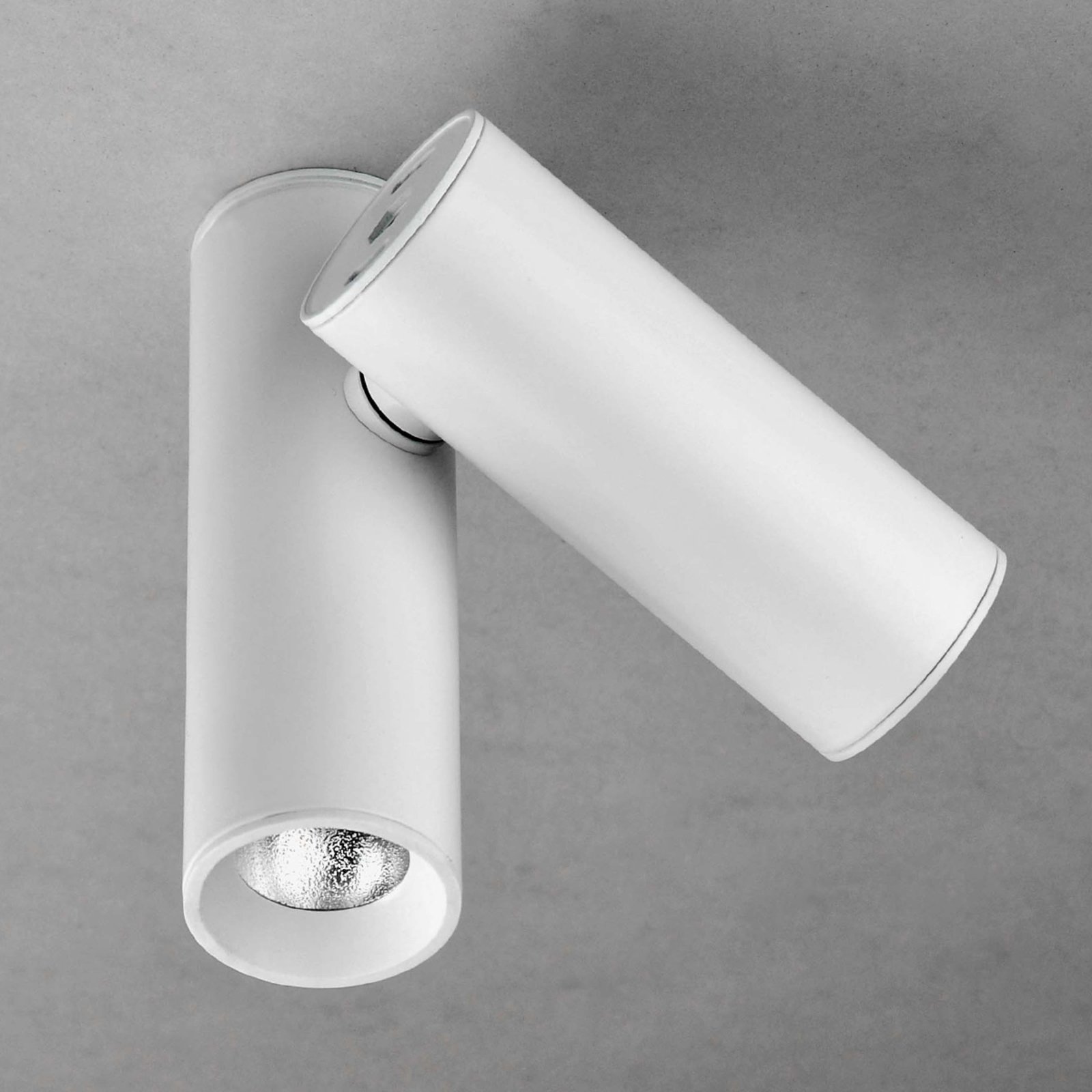 Milan Haul LED stropna svjetiljka, dvije žarulje, bijela