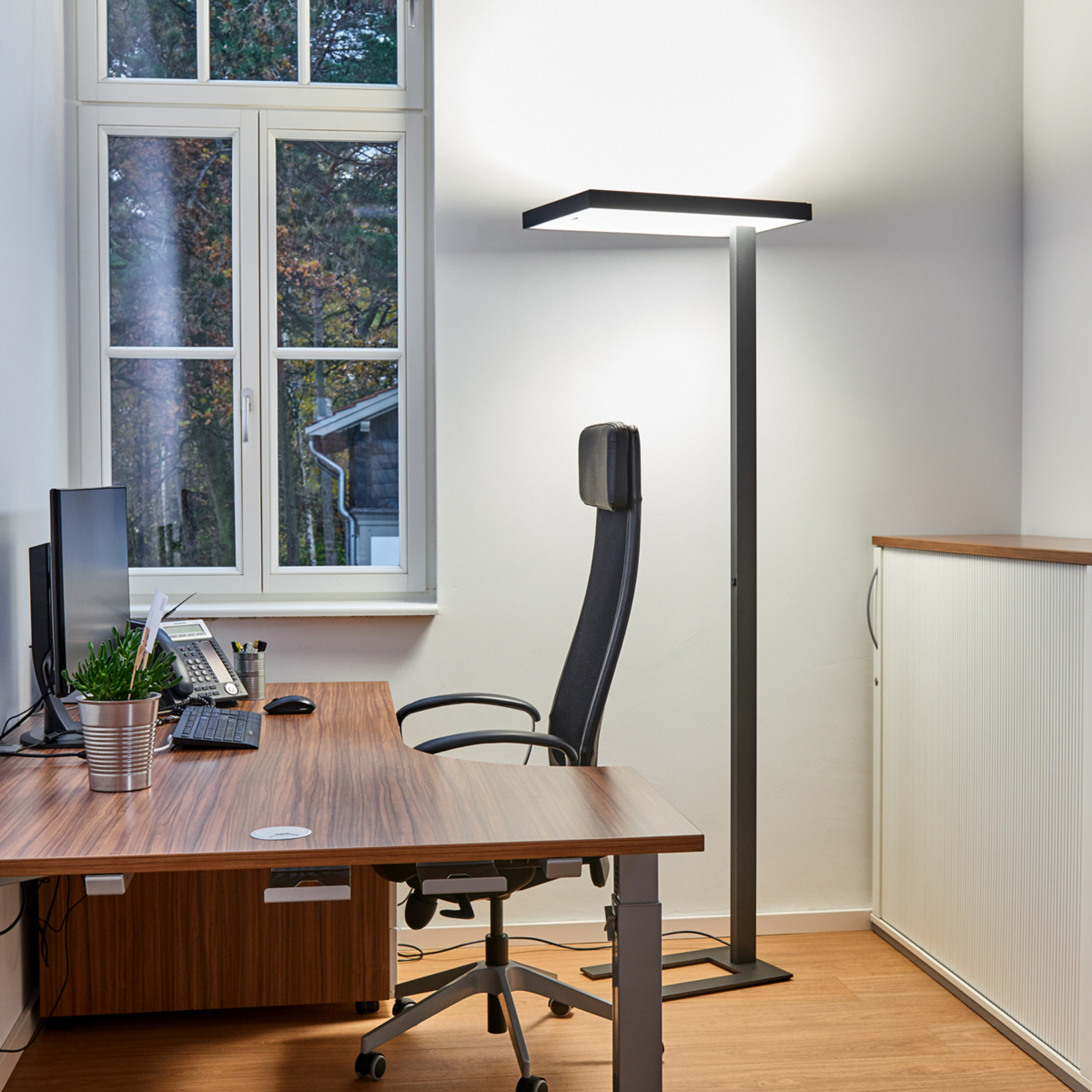 Lola LED office floor lamp, 4,000 K, DALI Lights.co.uk