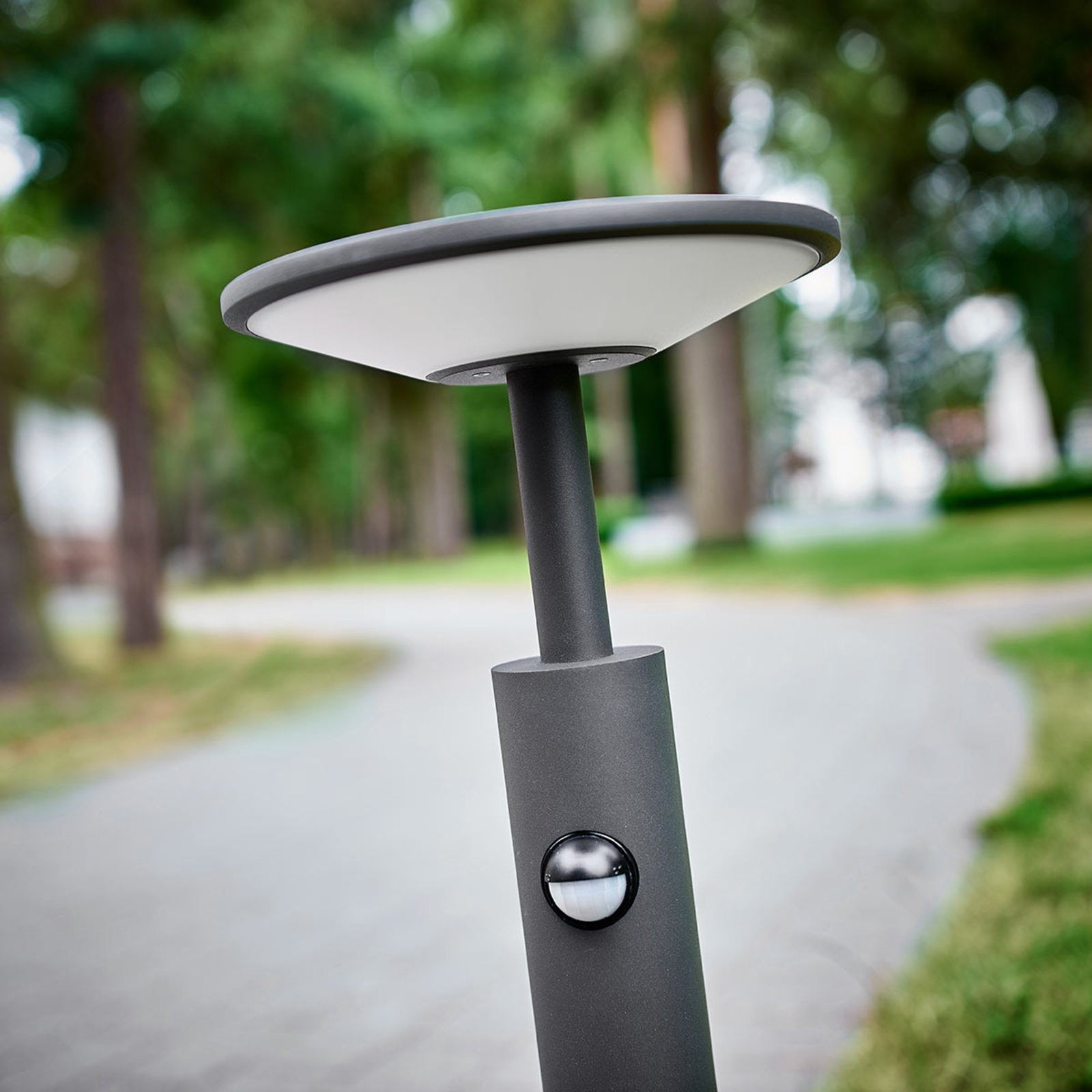 Fenia LED LED Gartenleuchte H60 w/Sensor Anthracite - Lucande