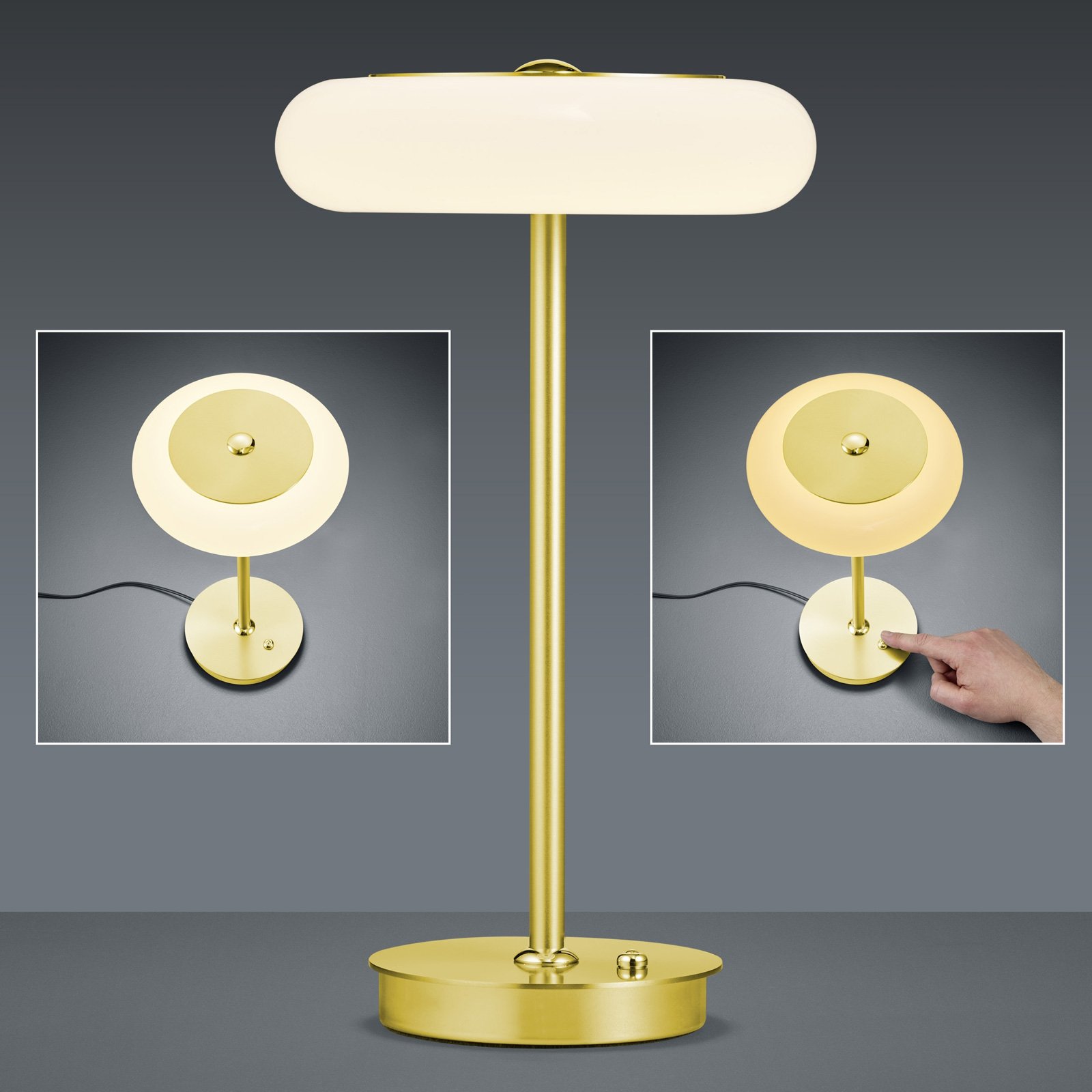 BANKAMP Centa LED table lamp with touch dimmer