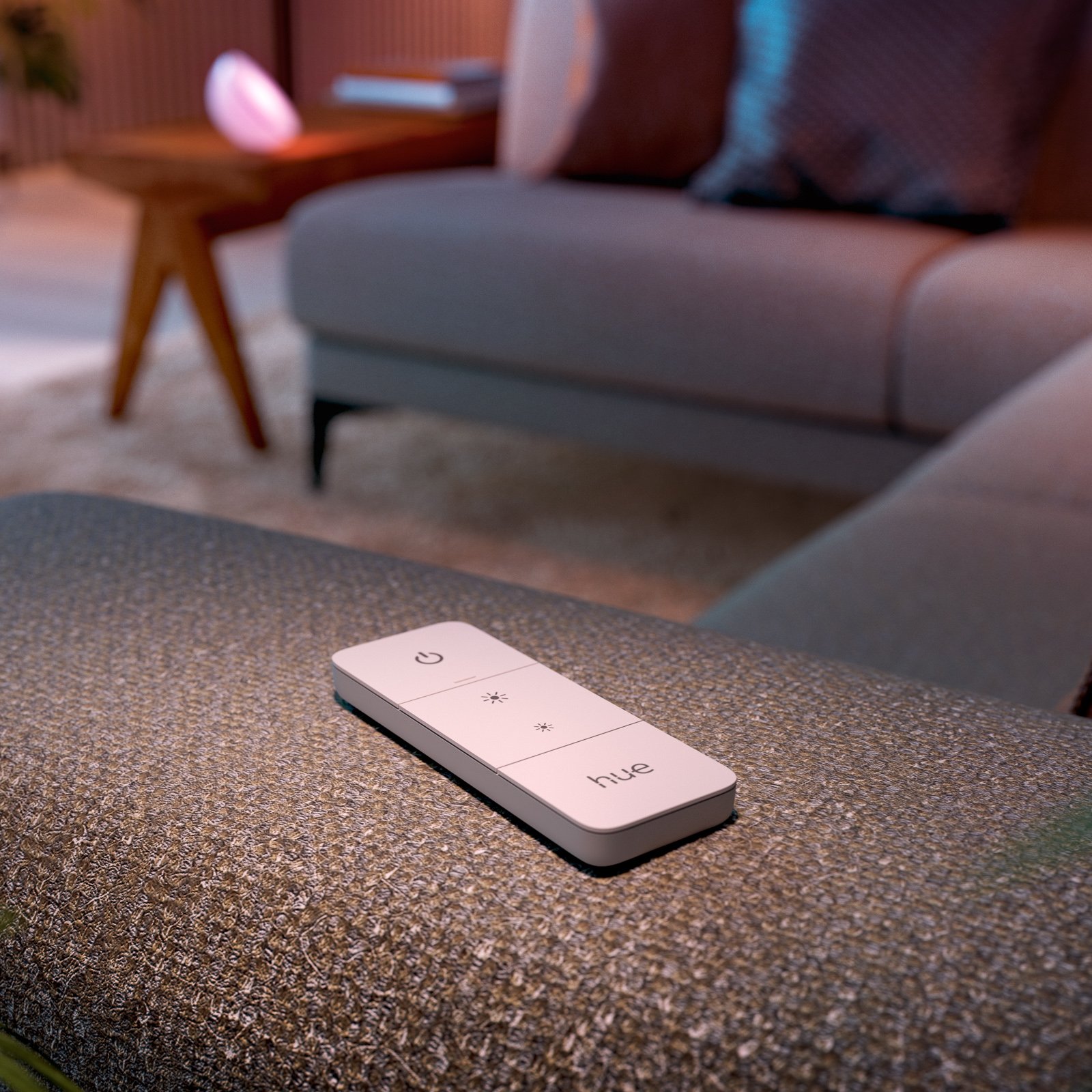 Philips Hue DIM Switch - Philips Hue