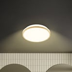 Stropné LED svetlo Acorus, Ø 28 cm, biela/farba dreva, IP44