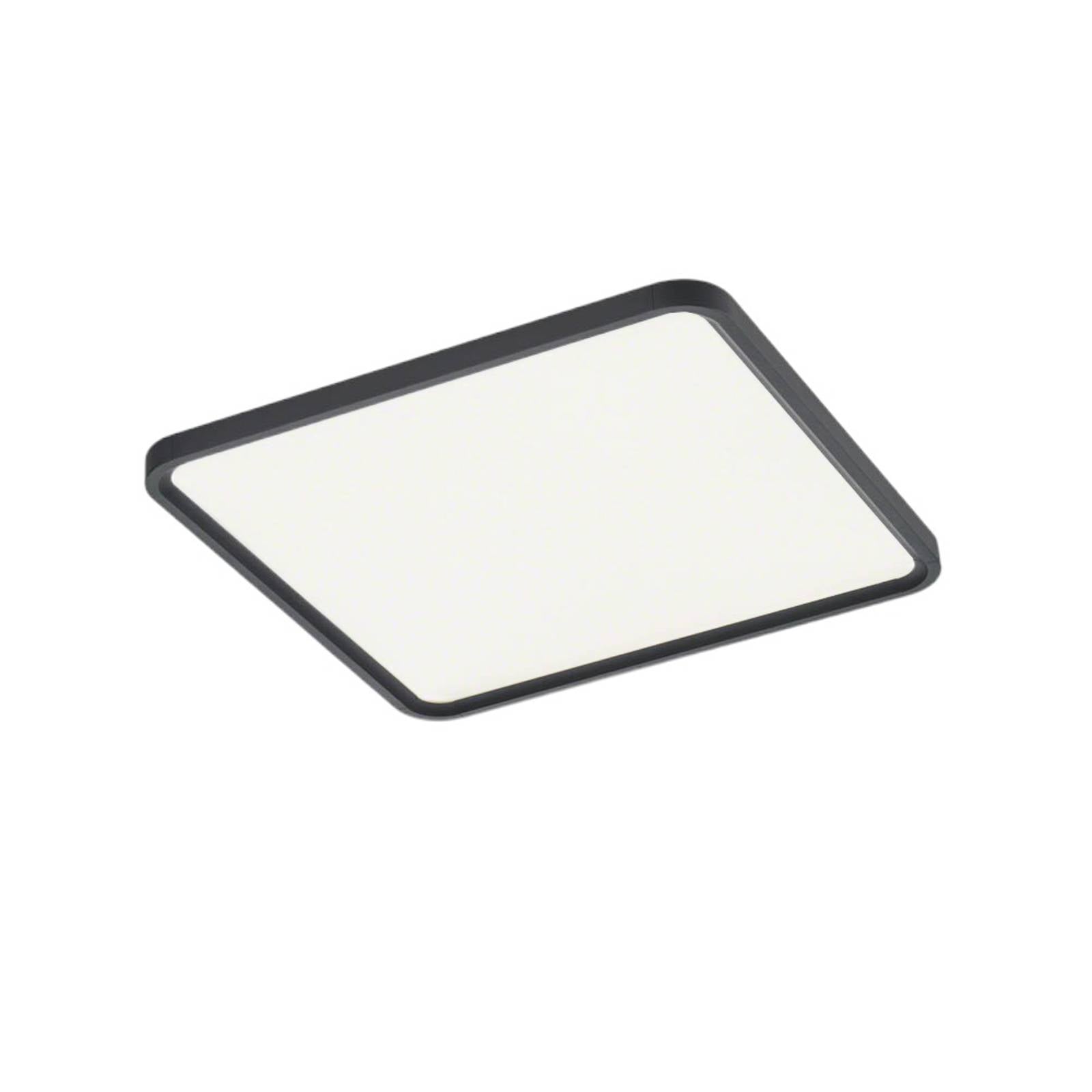 Helestra Vesp LED-Panel Backlight 61x61cm schwarz