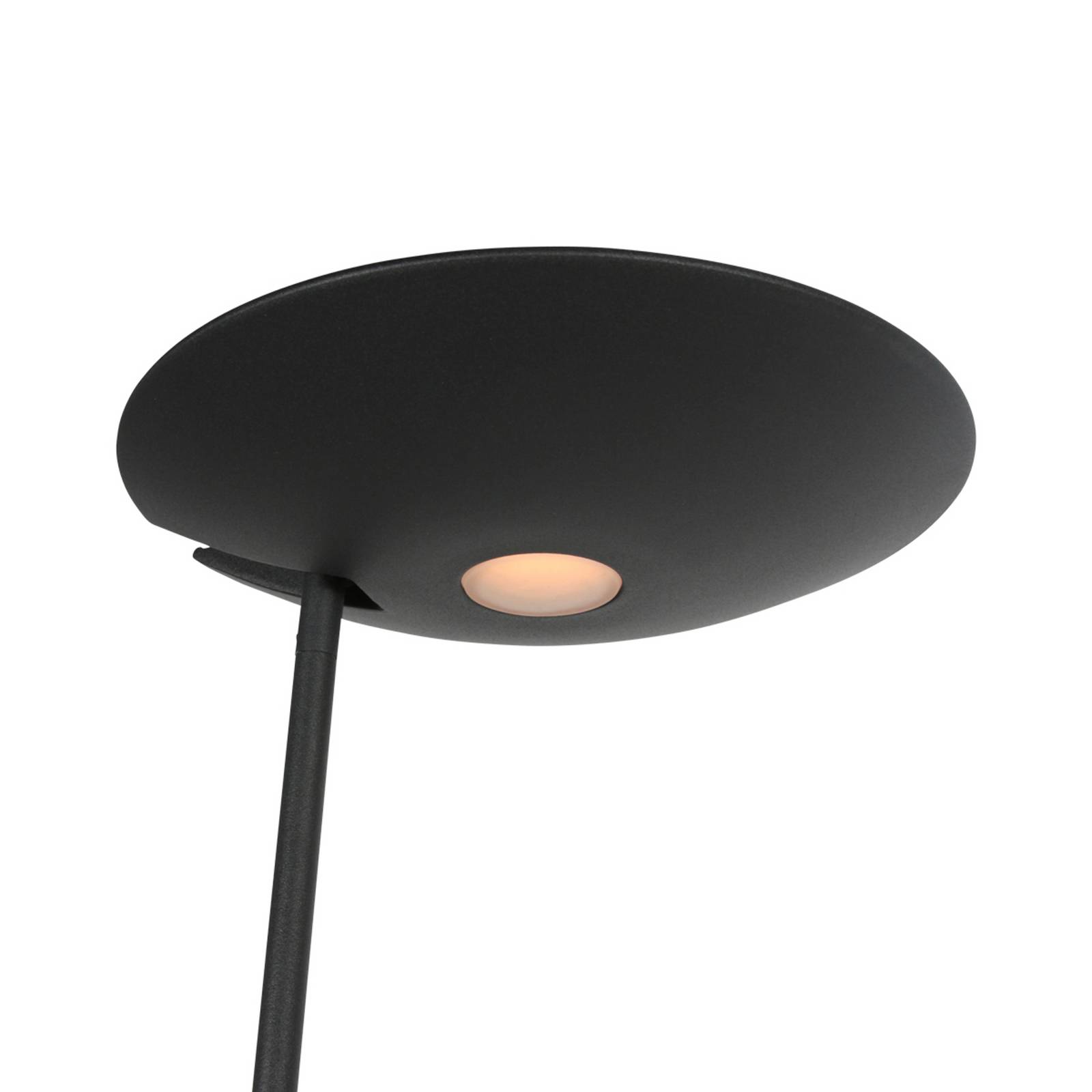 Steinhauer LED uplighter Daphne 2 + leeslampje zwart, CCT, afstandsbediening