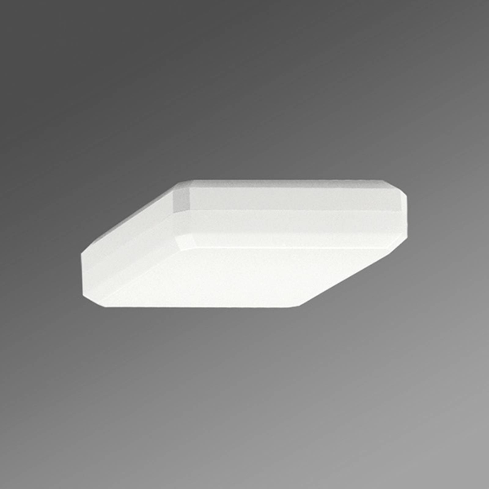 Image of Regiolux Plafonnier en saillie carré WQL diffuseur opale bn 4020863263455