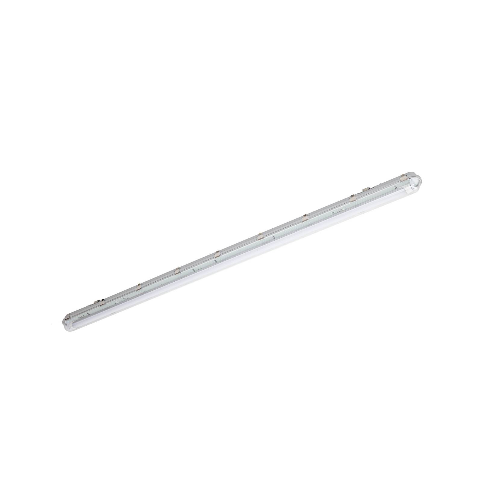 Prios Feuchtraumleuchte Lior, 157 cm, 1 x T8, G13, IP65, 18W
