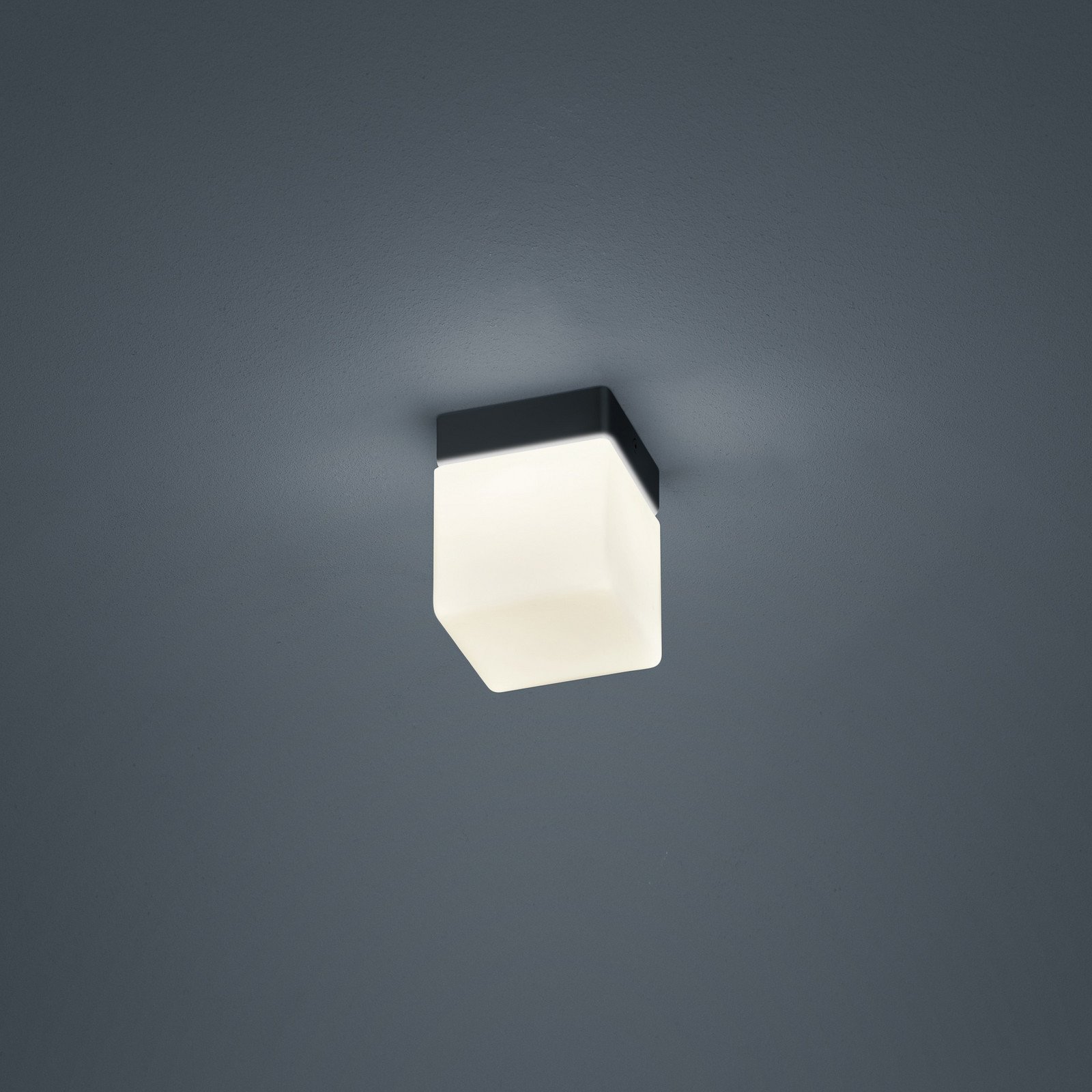 Helestra Keto plafonieră LED cub negru