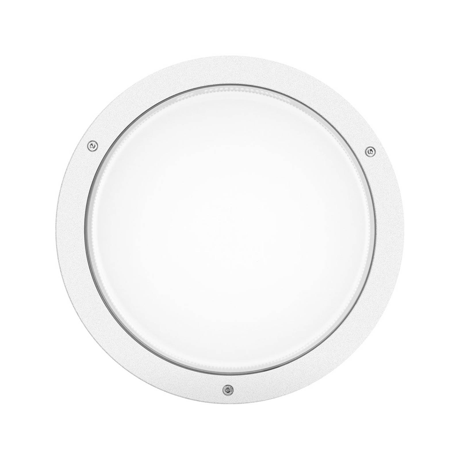 Image of Performance in Lighting Applique LED Bliz Round 30, 30 W 3 000 K blanche 8018367631746