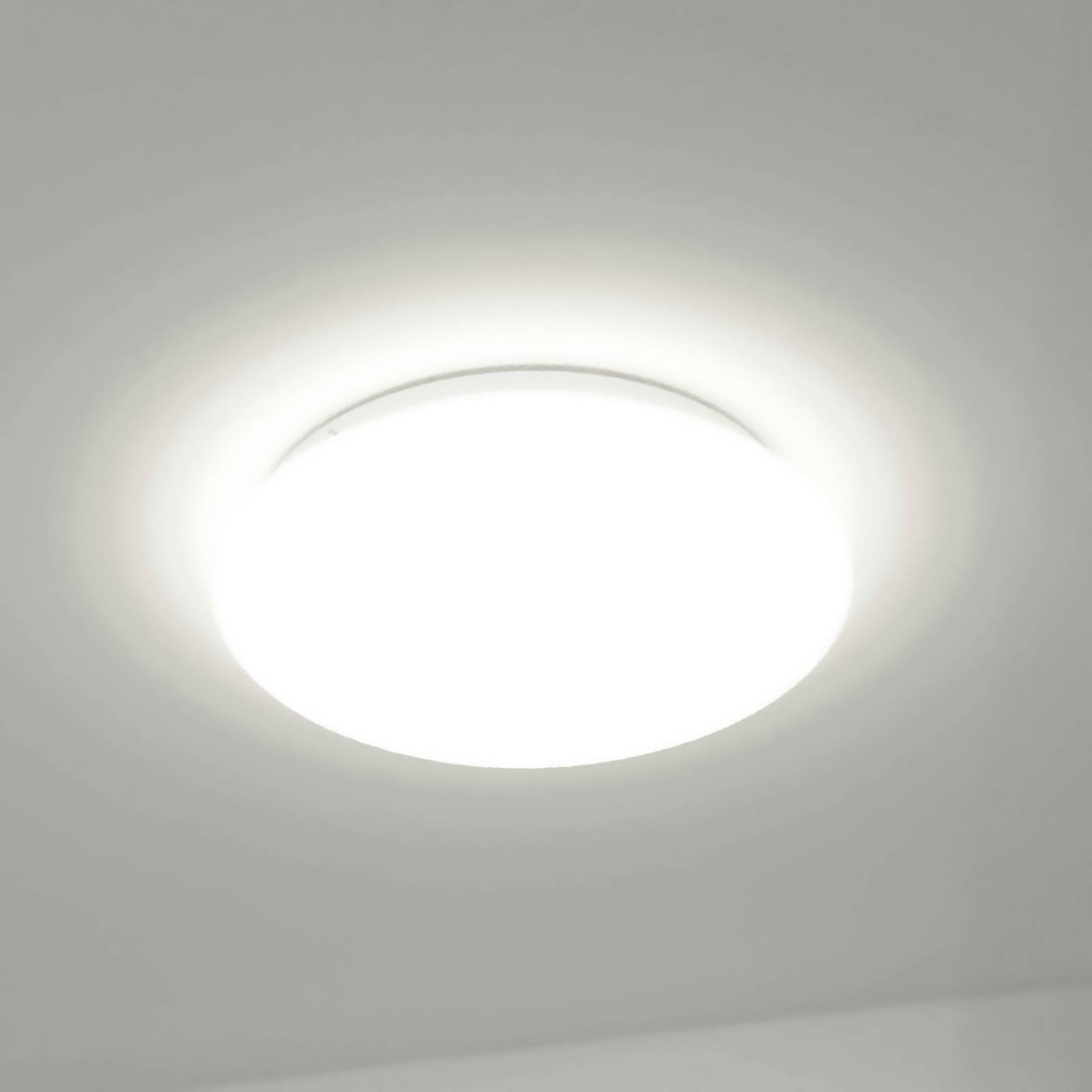 DOTLUX LED-Deckenleuchte LUNA, weiß, Ø 49 cm, 33 W, CCT IP44 günstig online kaufen