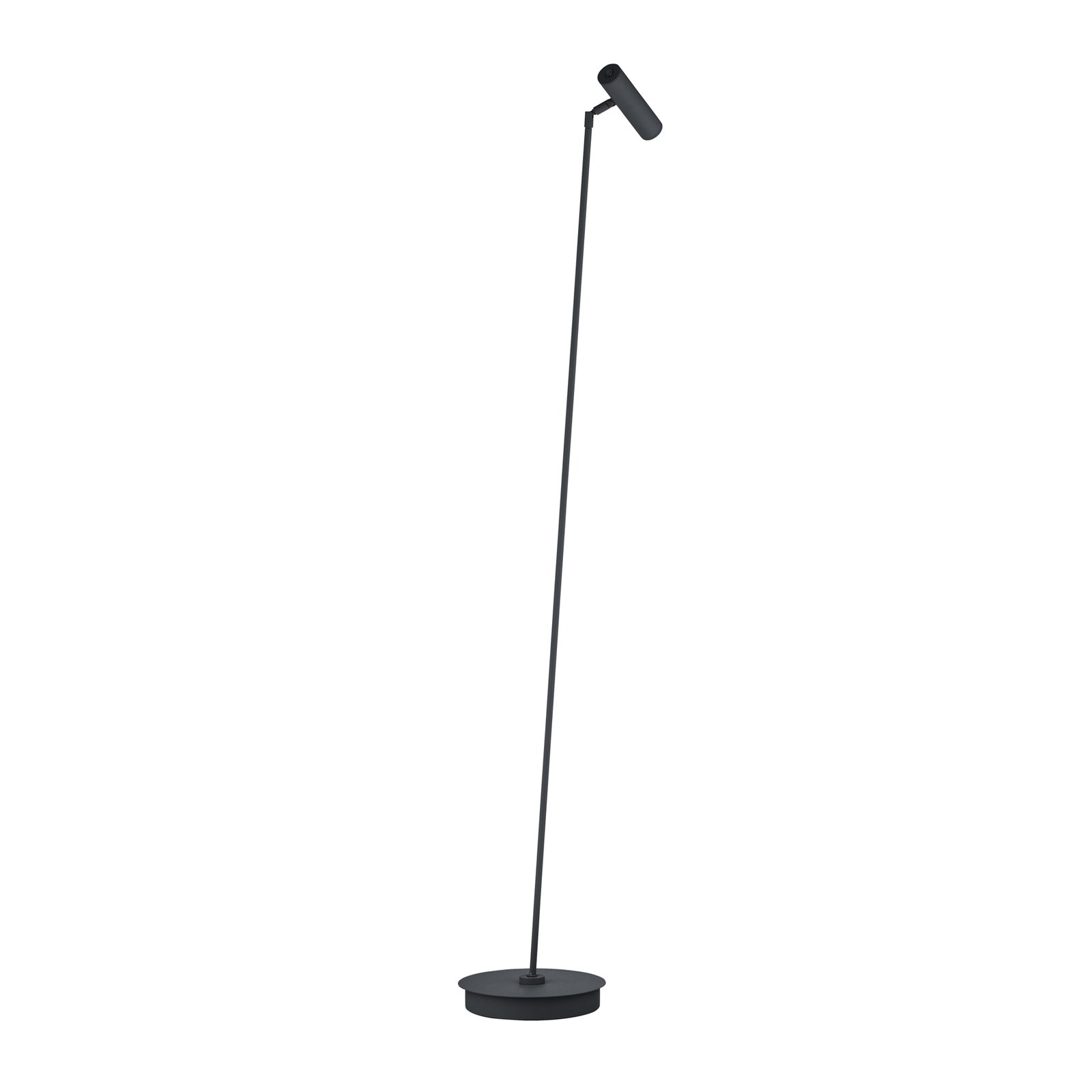 Tom Pro LED podna lampa, crna, 1 žarulja, CCT, dimer