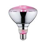 Paulmann LED grow light bulb E27 Grow Green 6.5W