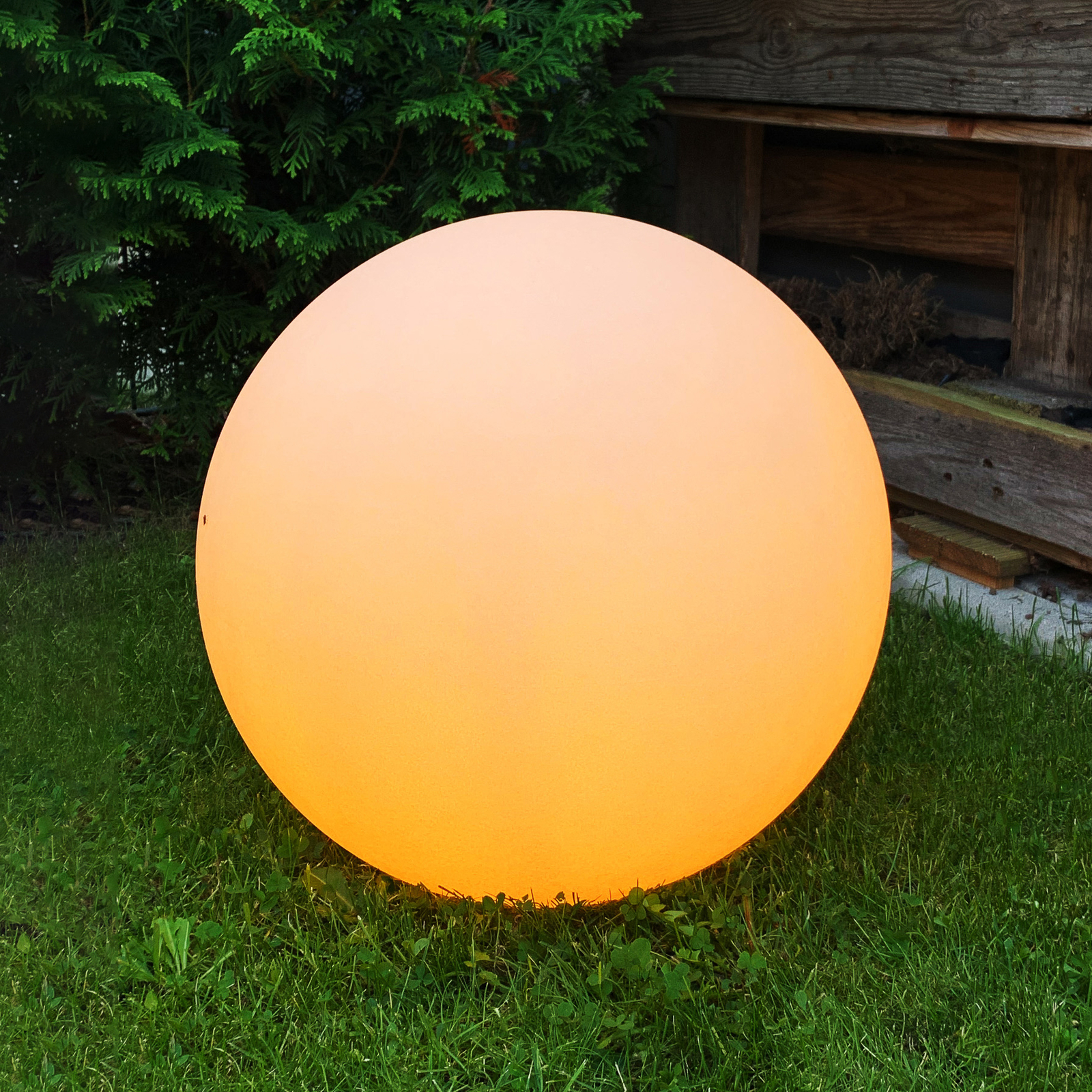 Müller Licht tint Calluna LED-Kugel Sand, 50 cm