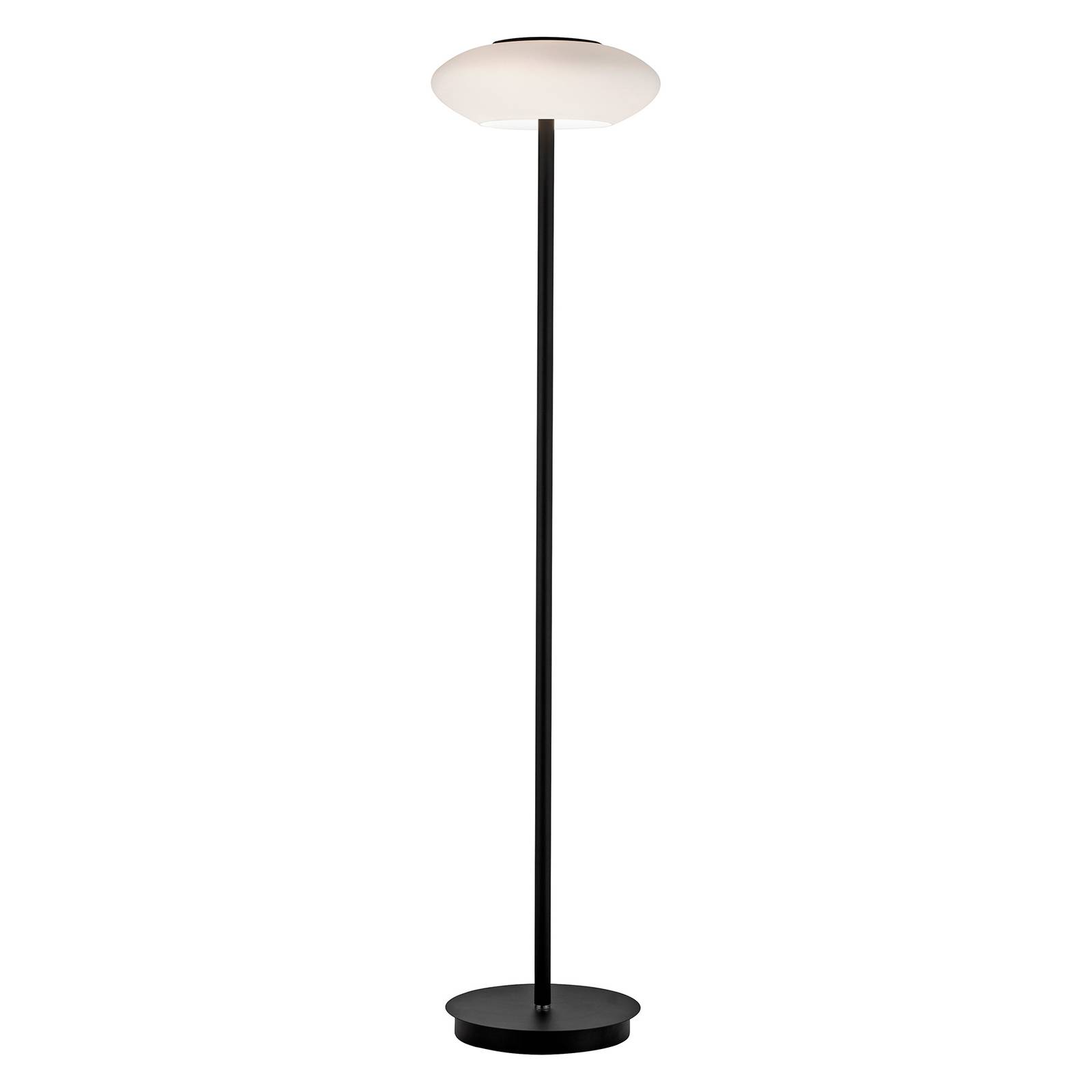Image of Paul Neuhaus Q-ETIENNE lampadaire LED, noir 4012248365168