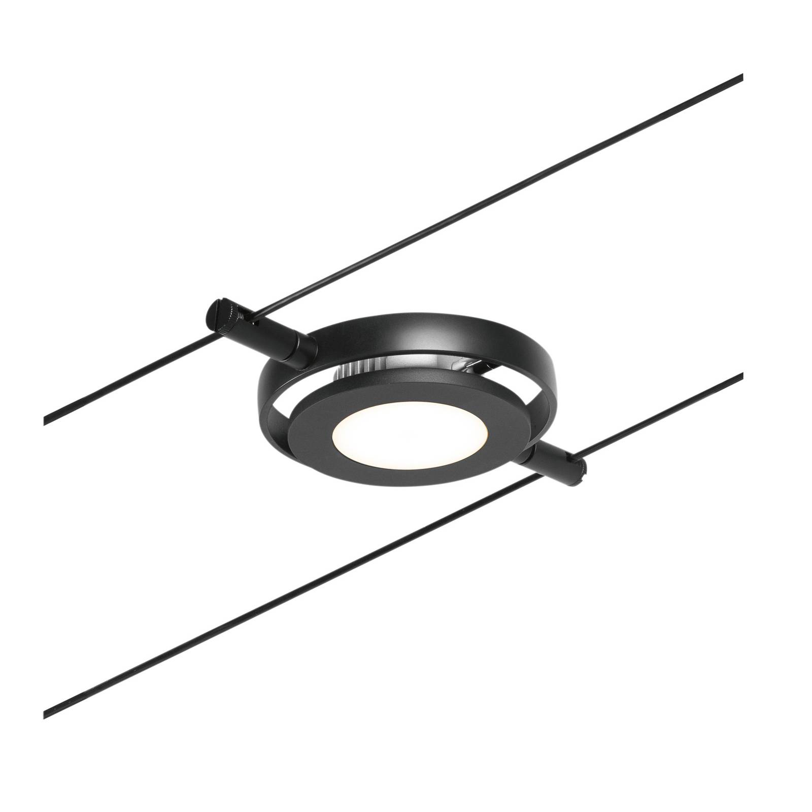 Paulmann Wire RoundMac spot for cable system black - Living / Dining Room - Cable Light - Modern
