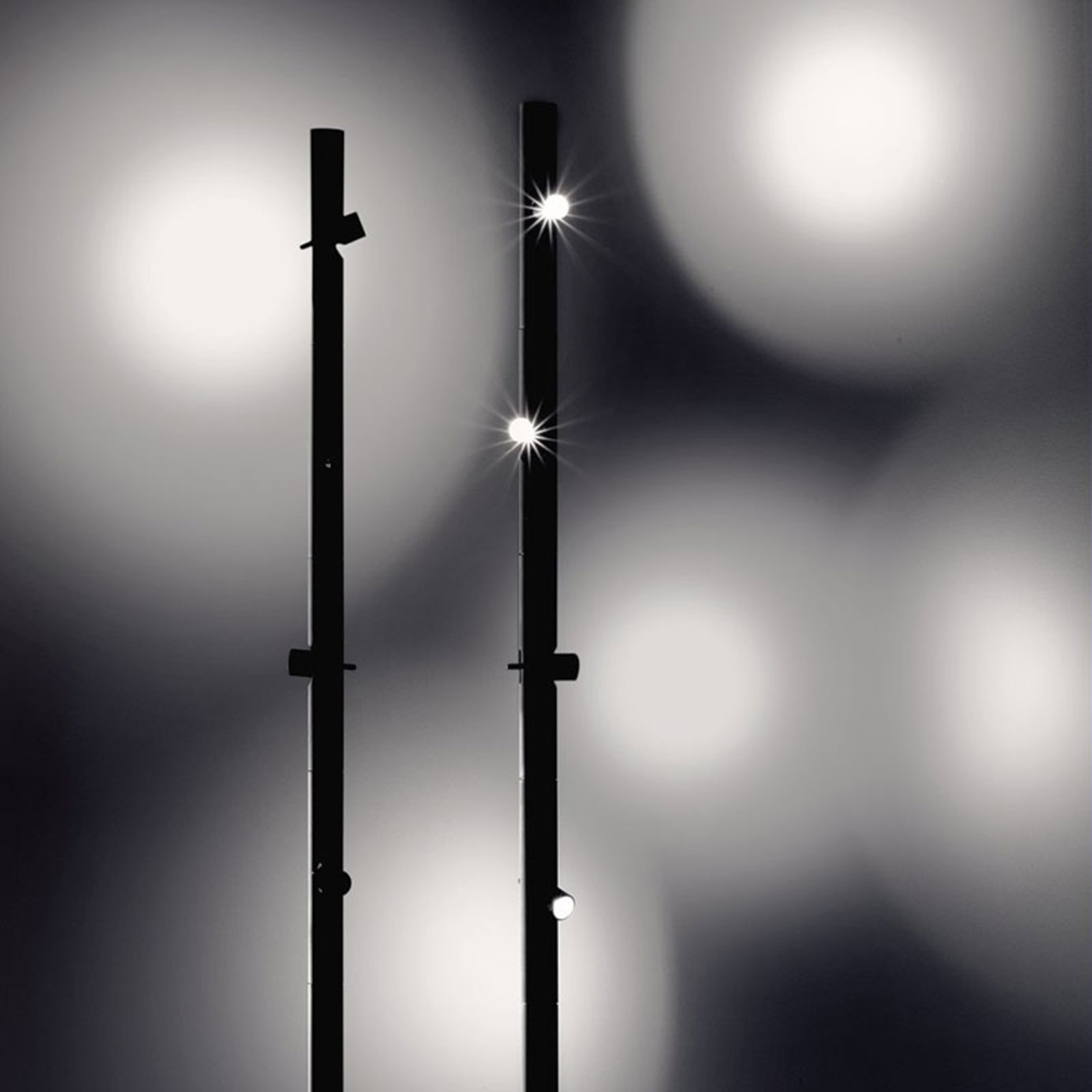 Martinelli Luce Colibrì lampadaire LED à 4 lampes